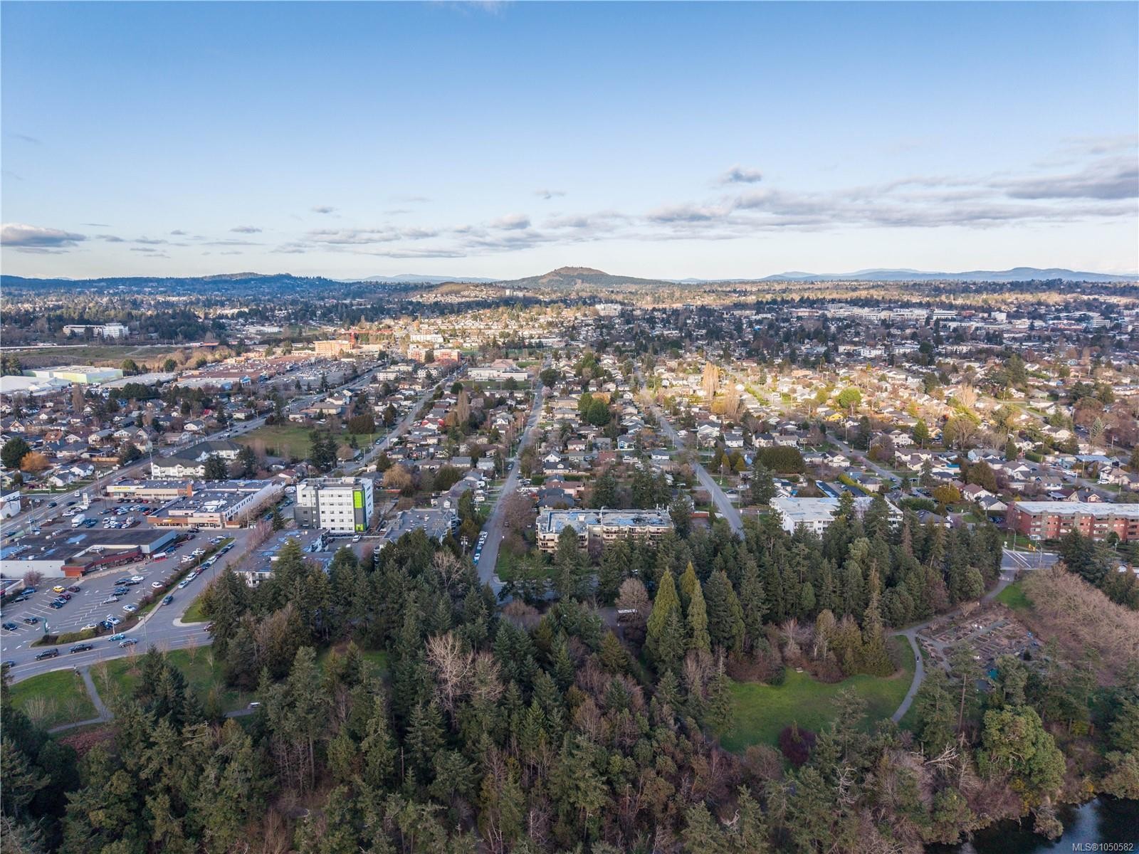 914 Mcnaughton Ave, Esquimalt, BC