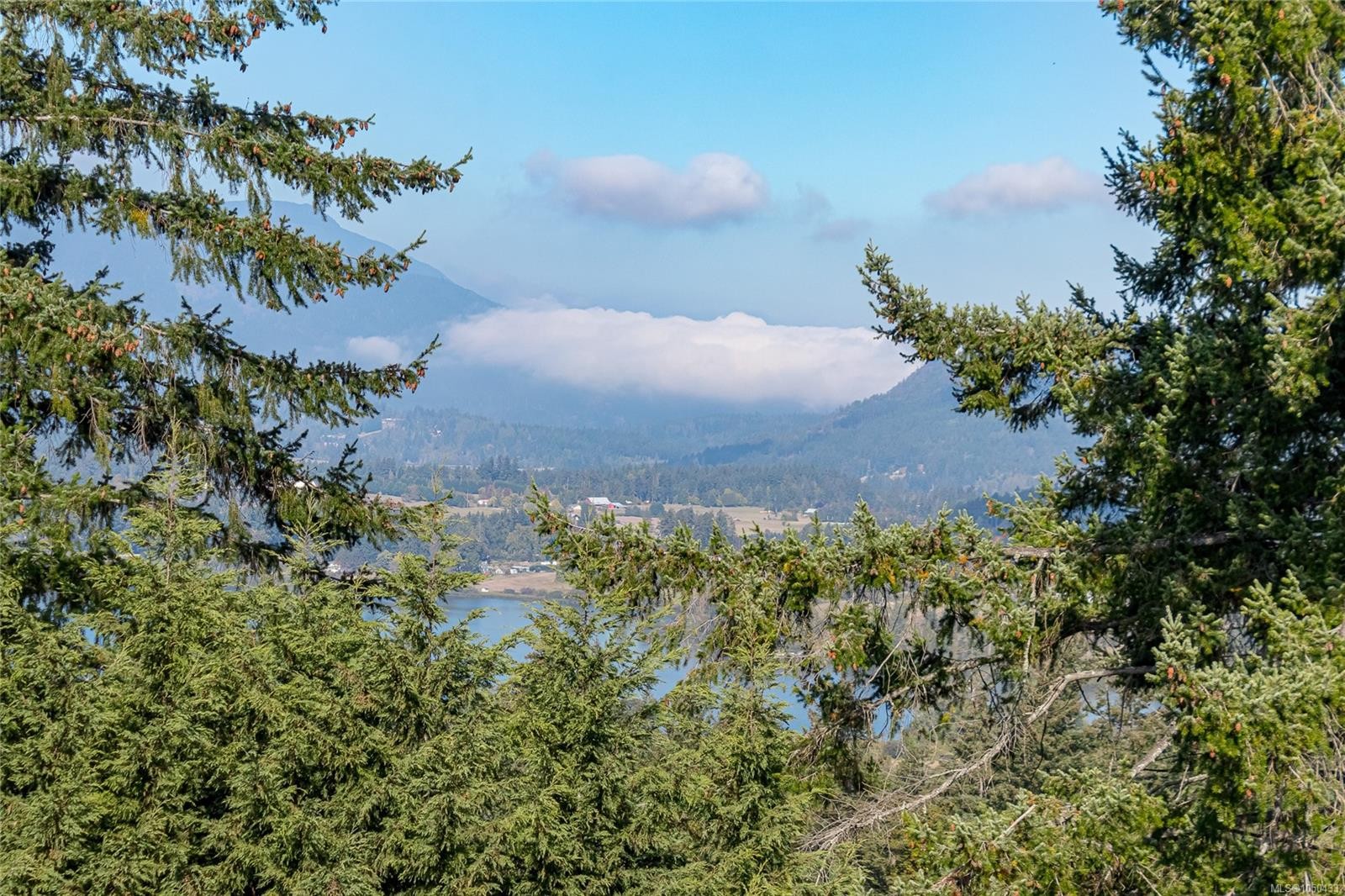 6033 Chippewa Rd, Duncan, BC