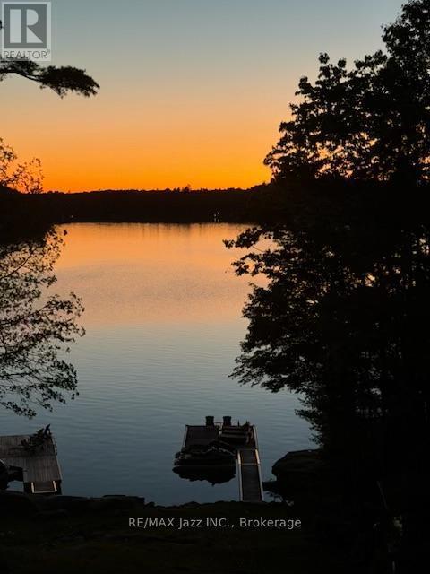 88 Brock Road, North Kawartha, ON