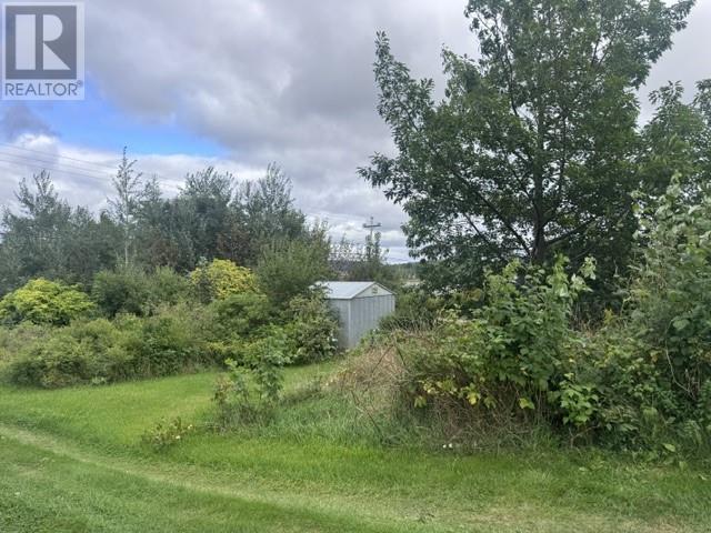 156A Main Street, Glovertown, NL