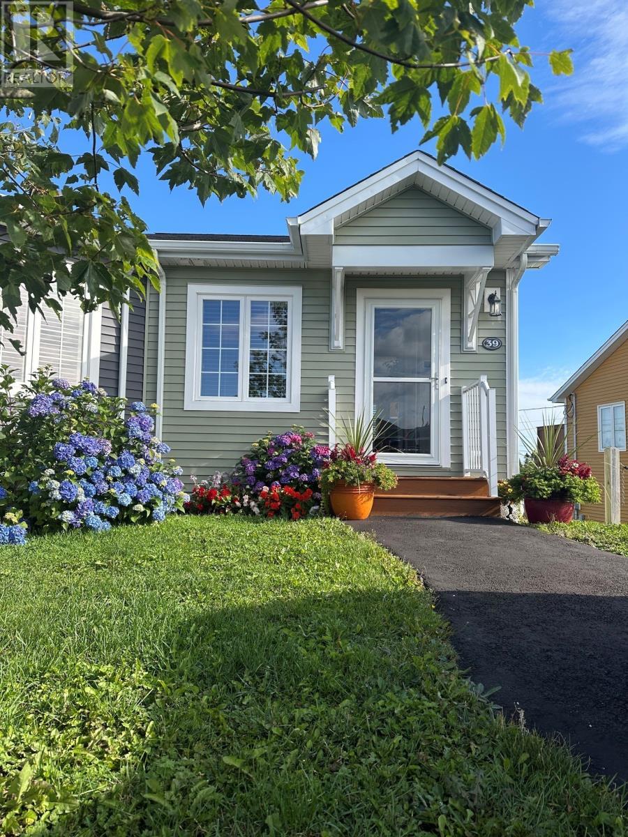 39 Triton Place, St. John'S, NL
