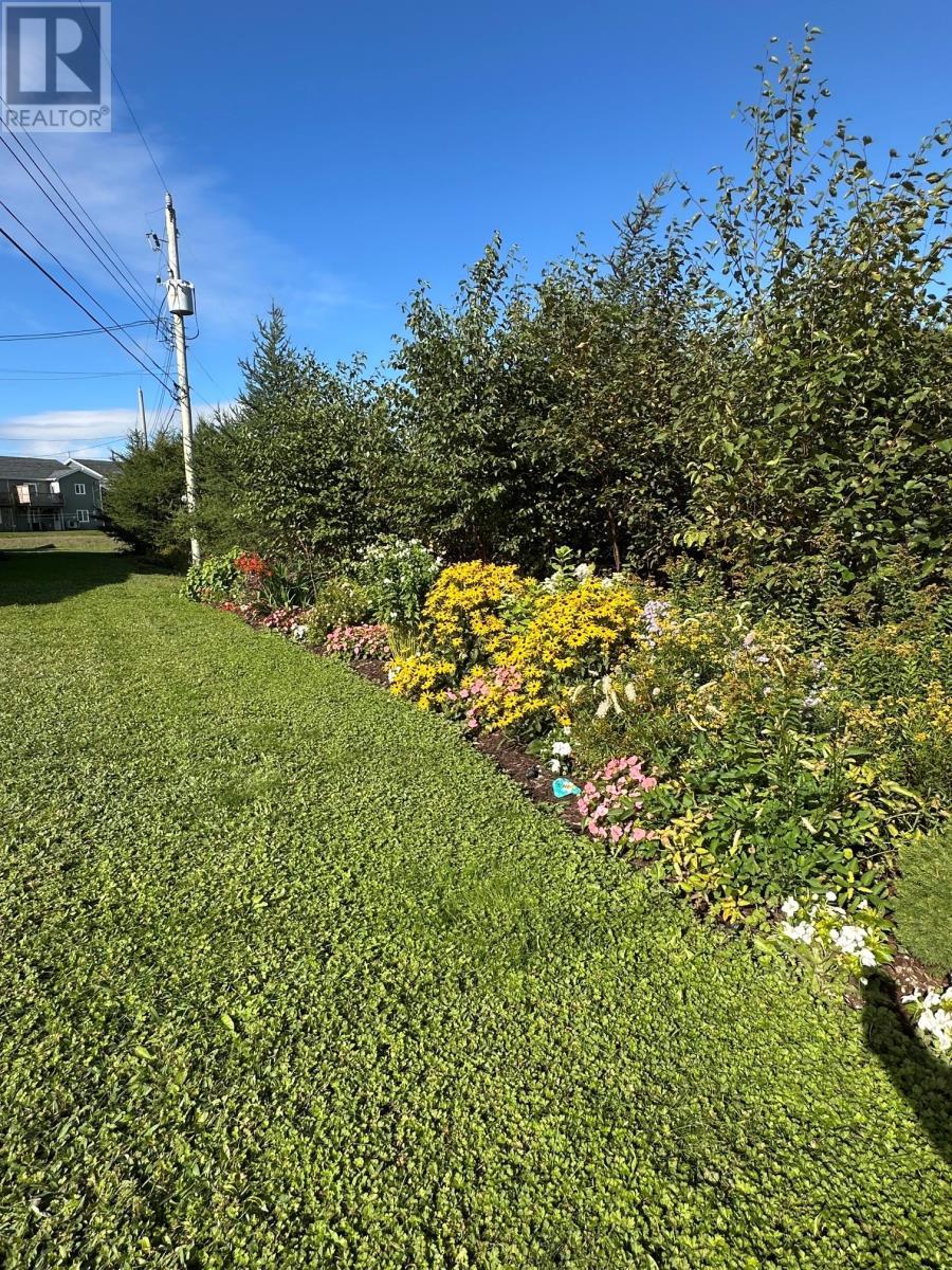 39 Triton Place, St. John'S, NL