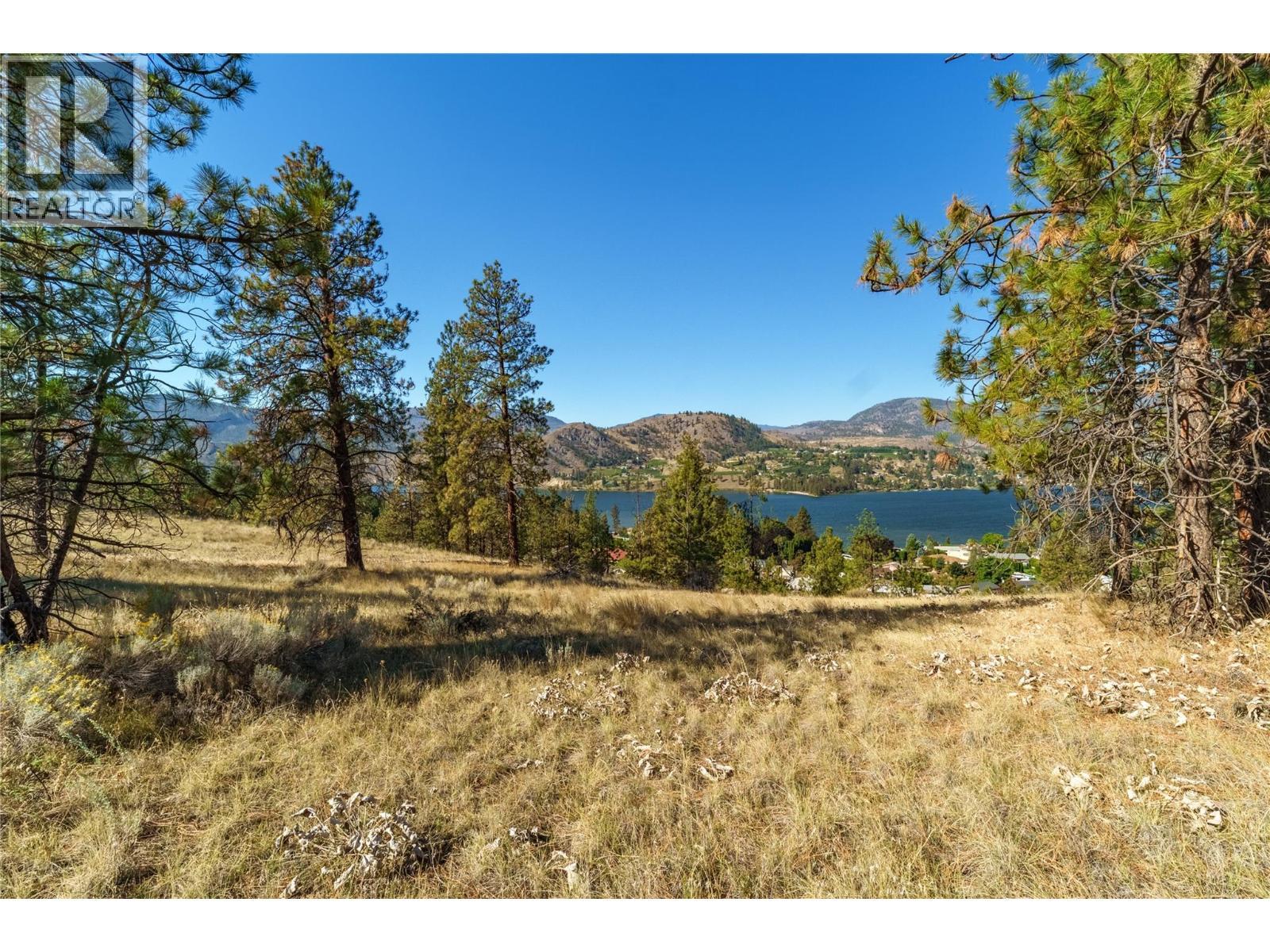 Prpsd Lt 1 47 Street, Okanagan Falls, BC