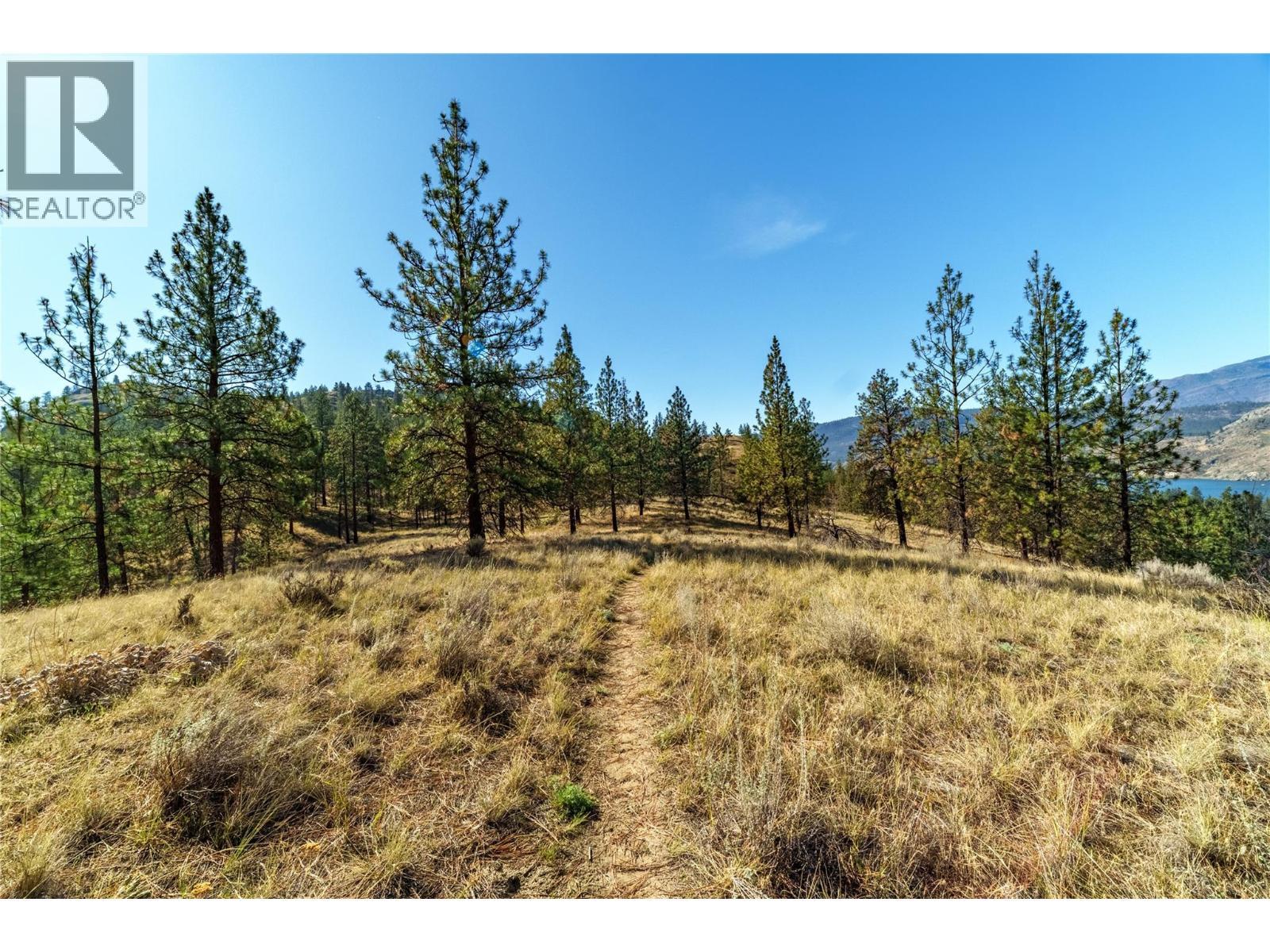 Prpsd Lt 1 47 Street, Okanagan Falls, BC