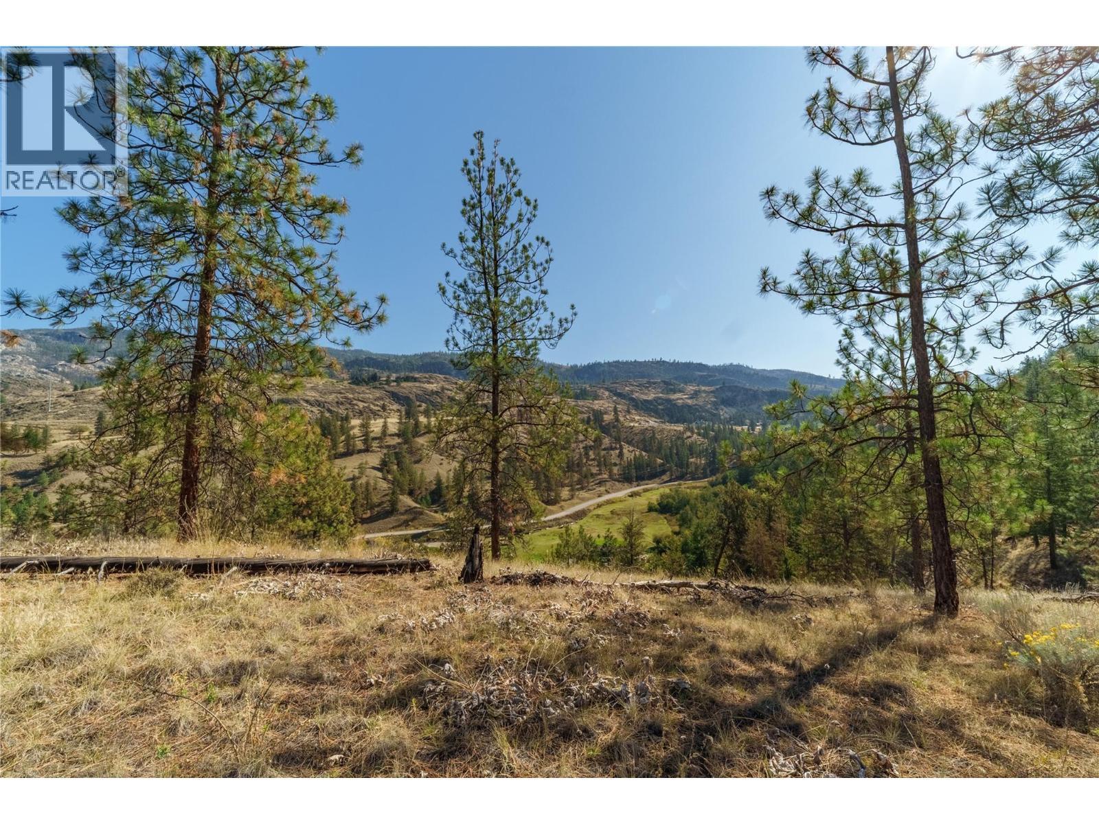 Prpsd Lt 1 47 Street, Okanagan Falls, BC