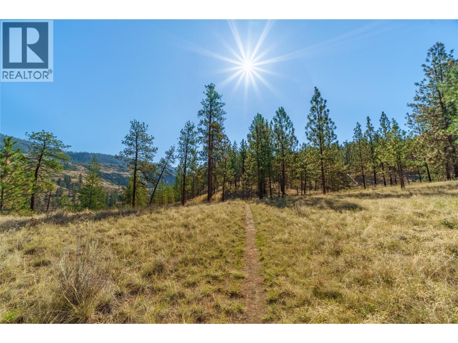 Prpsd Lt 1 47 Street, Okanagan Falls, BC