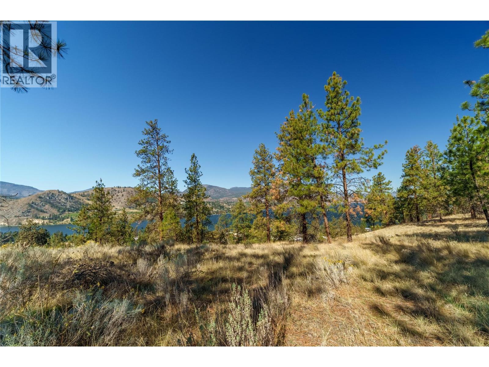Prpsd Lt 1 47 Street, Okanagan Falls, BC