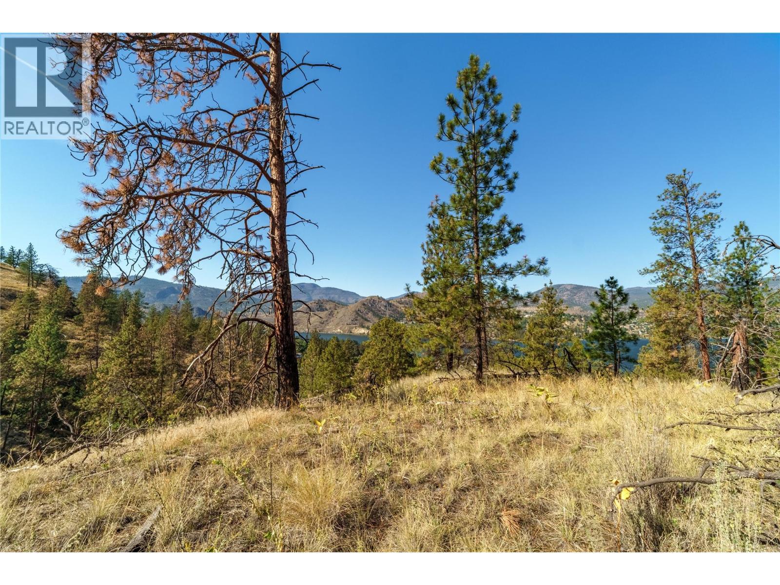 Prpsd Lt 1 47 Street, Okanagan Falls, BC