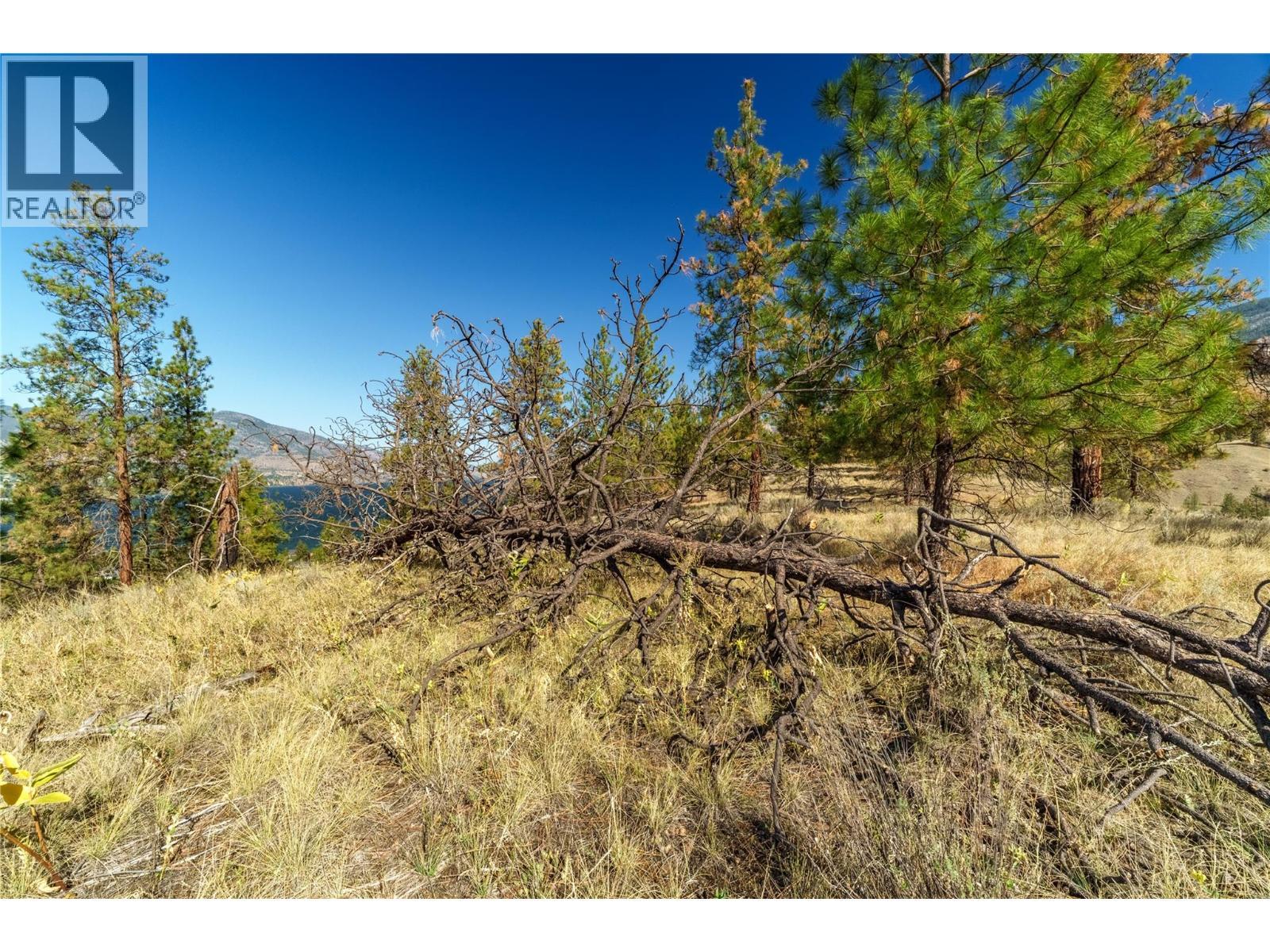 Prpsd Lt 1 47 Street, Okanagan Falls, BC