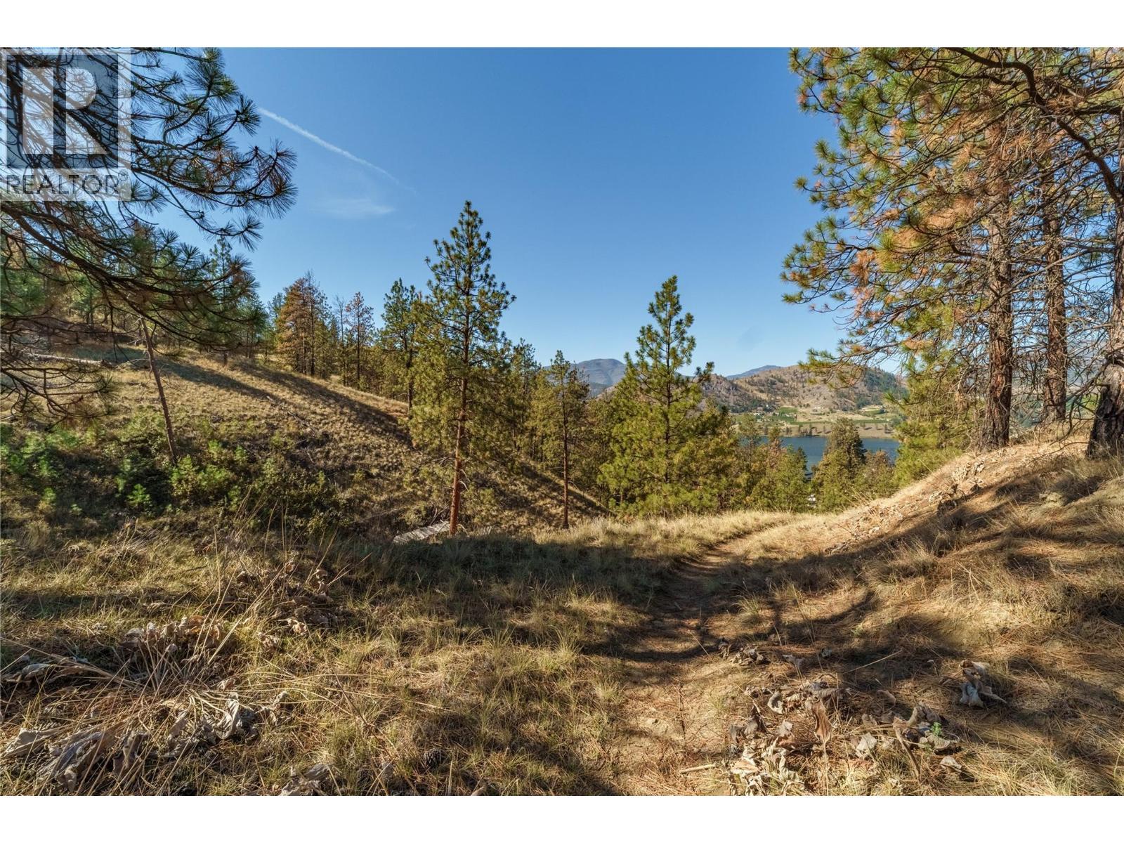 Prpsd Lt 1 47 Street, Okanagan Falls, BC