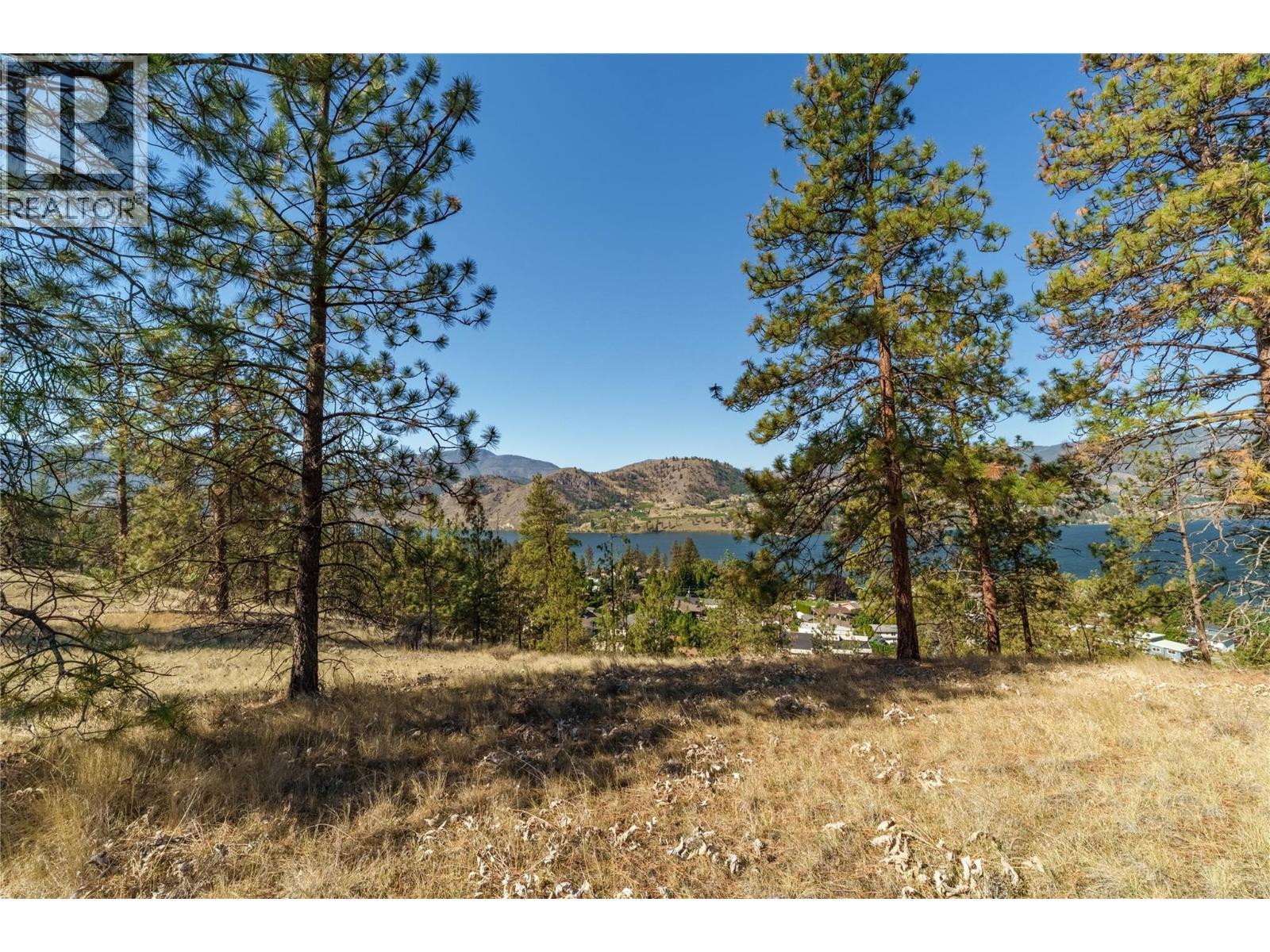 Prpsd Lt 1 47 Street, Okanagan Falls, BC