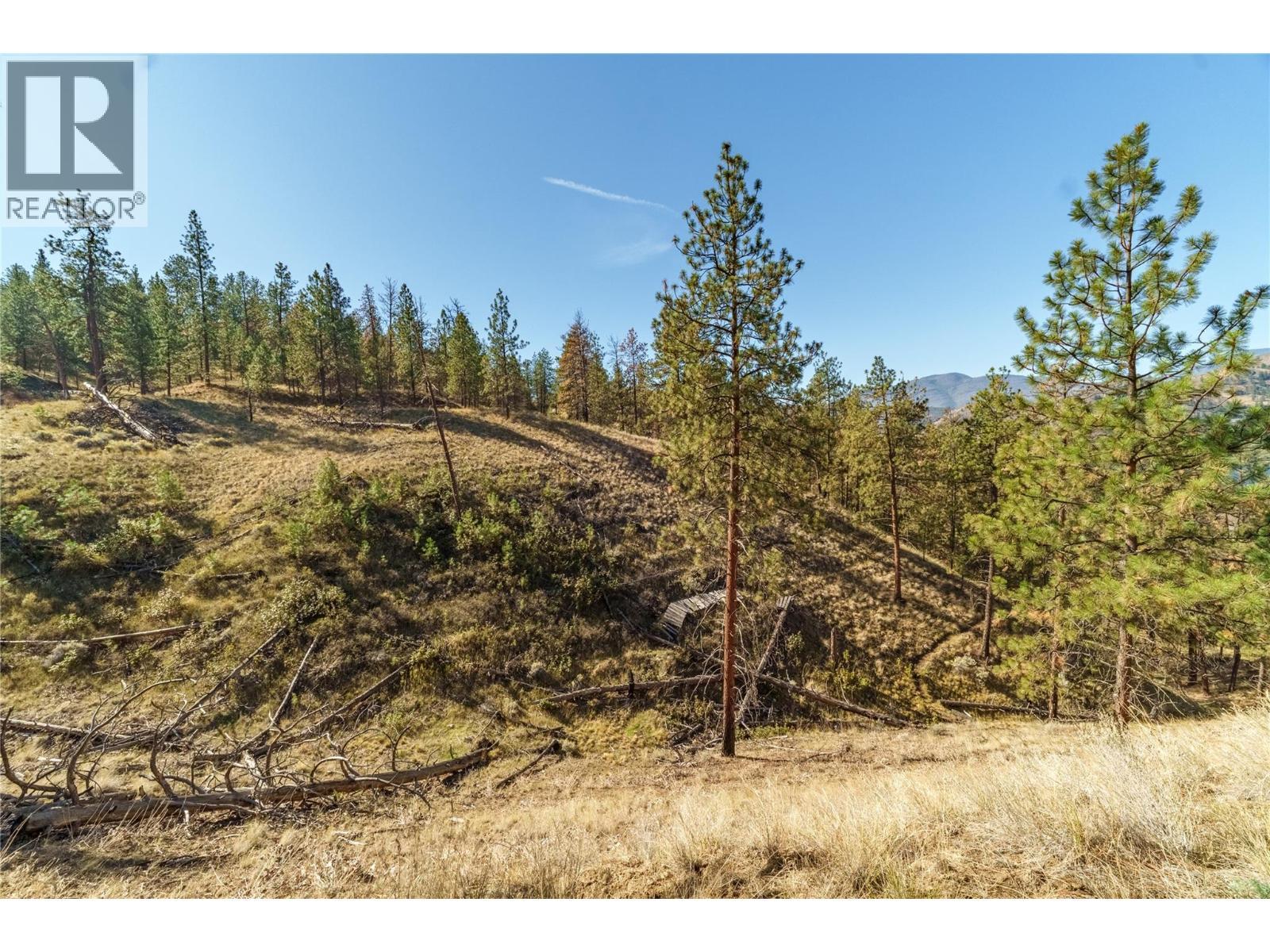 Prpsd Lt 1 47 Street, Okanagan Falls, BC