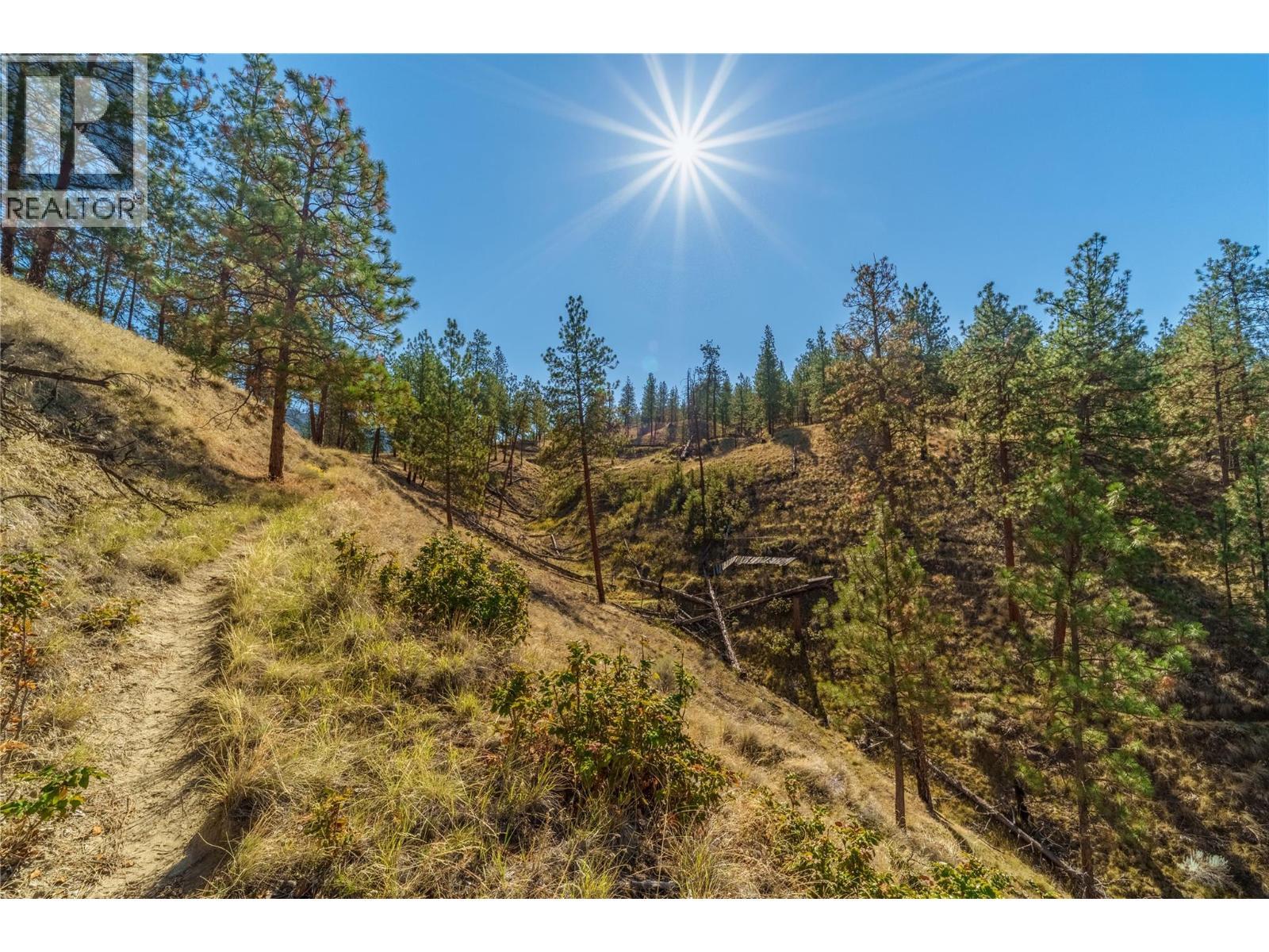 Prpsd Lt 1 47 Street, Okanagan Falls, BC