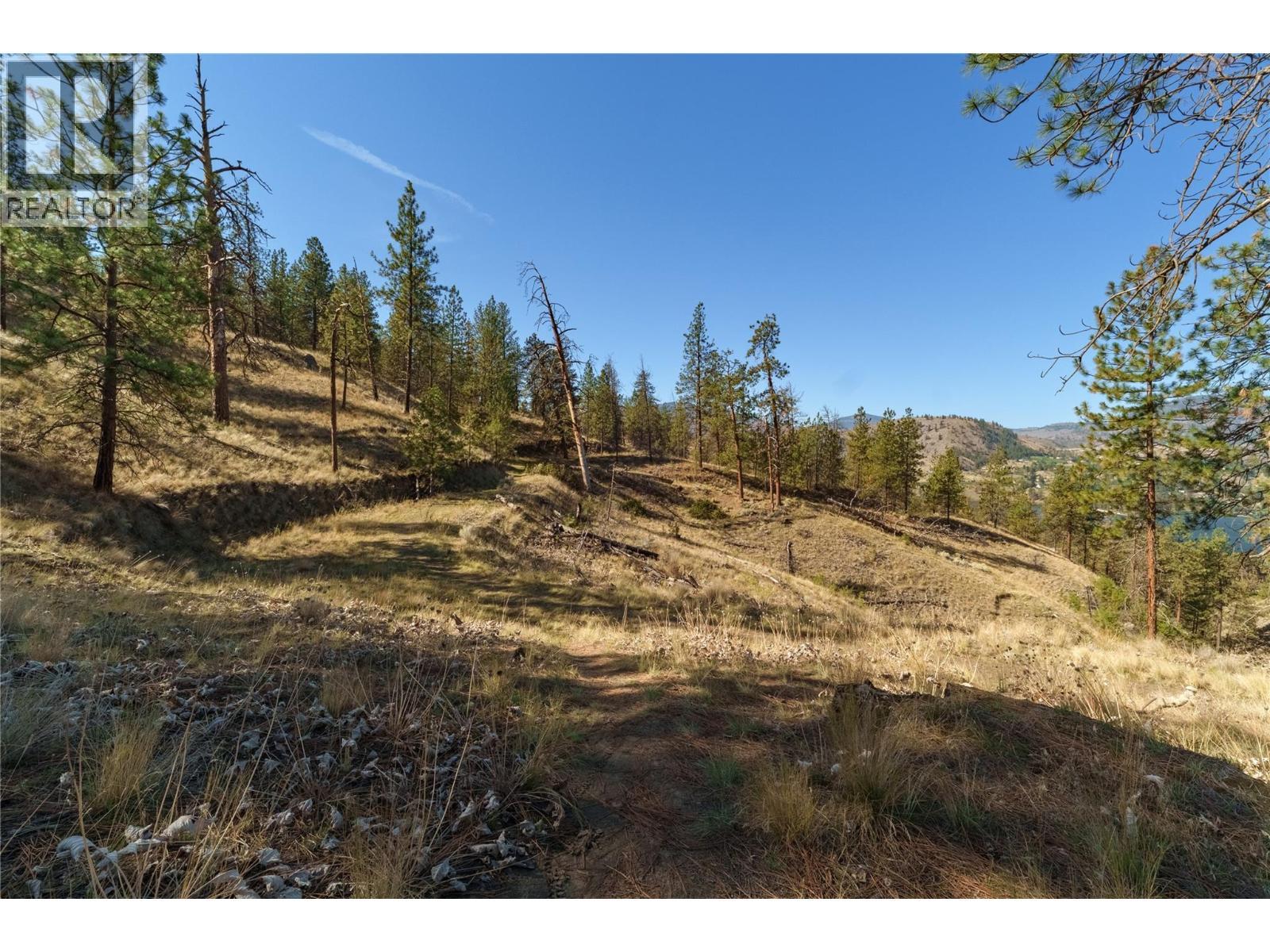 Prpsd Lt 1 47 Street, Okanagan Falls, BC