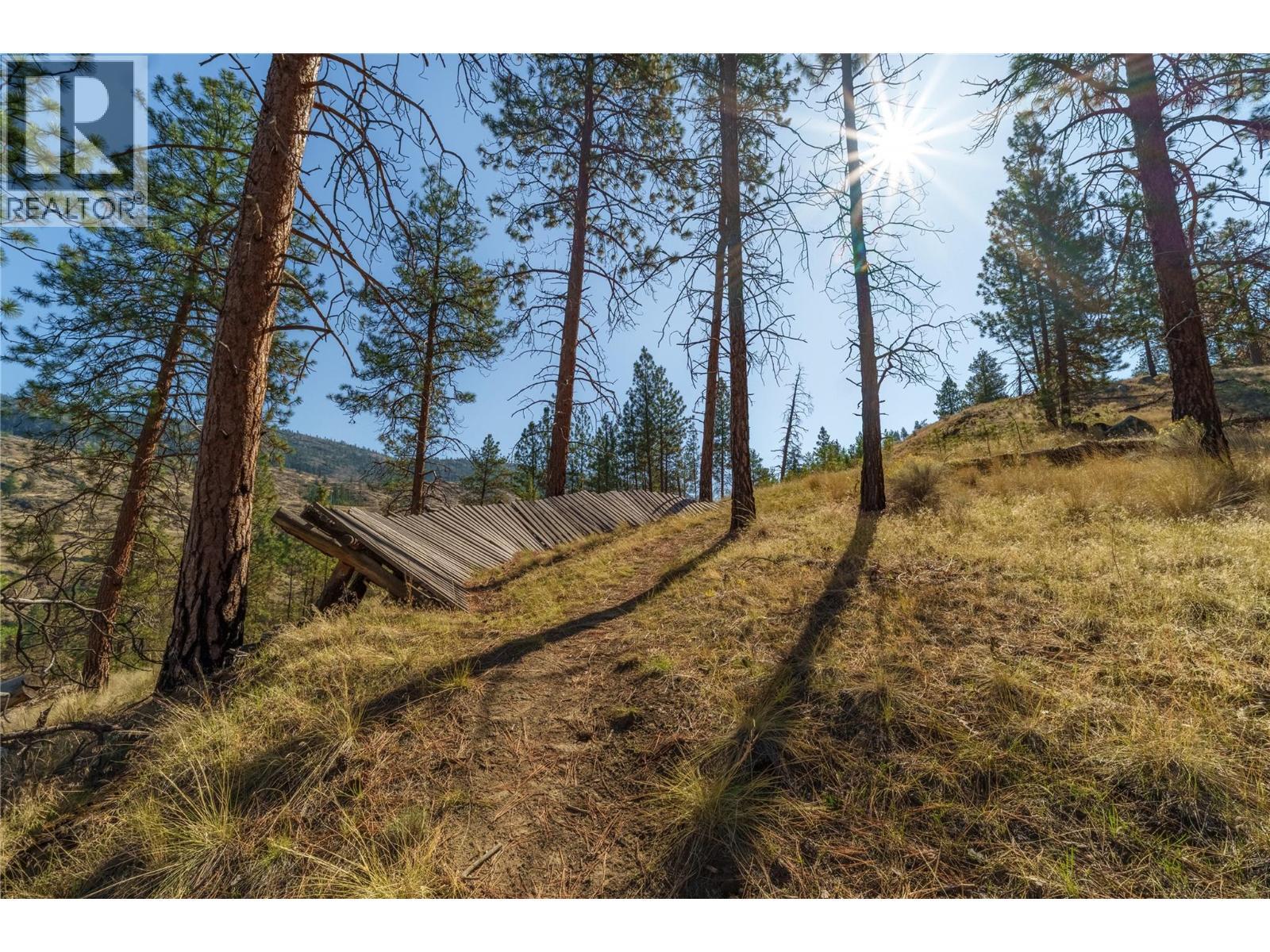 Prpsd Lt 1 47 Street, Okanagan Falls, BC