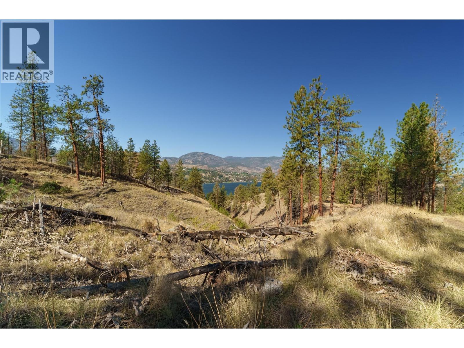 Prpsd Lt 1 47 Street, Okanagan Falls, BC