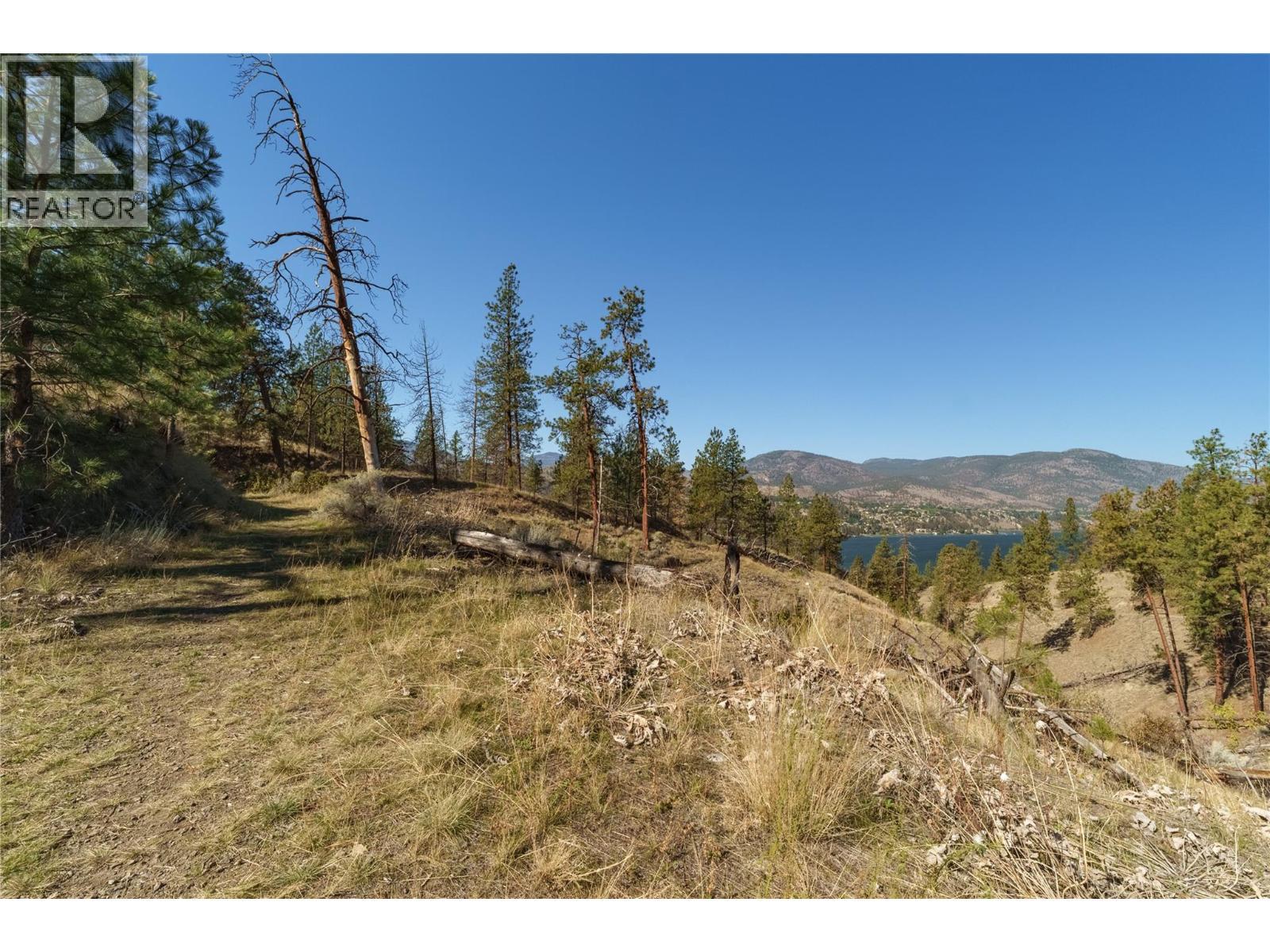 Prpsd Lt 1 47 Street, Okanagan Falls, BC