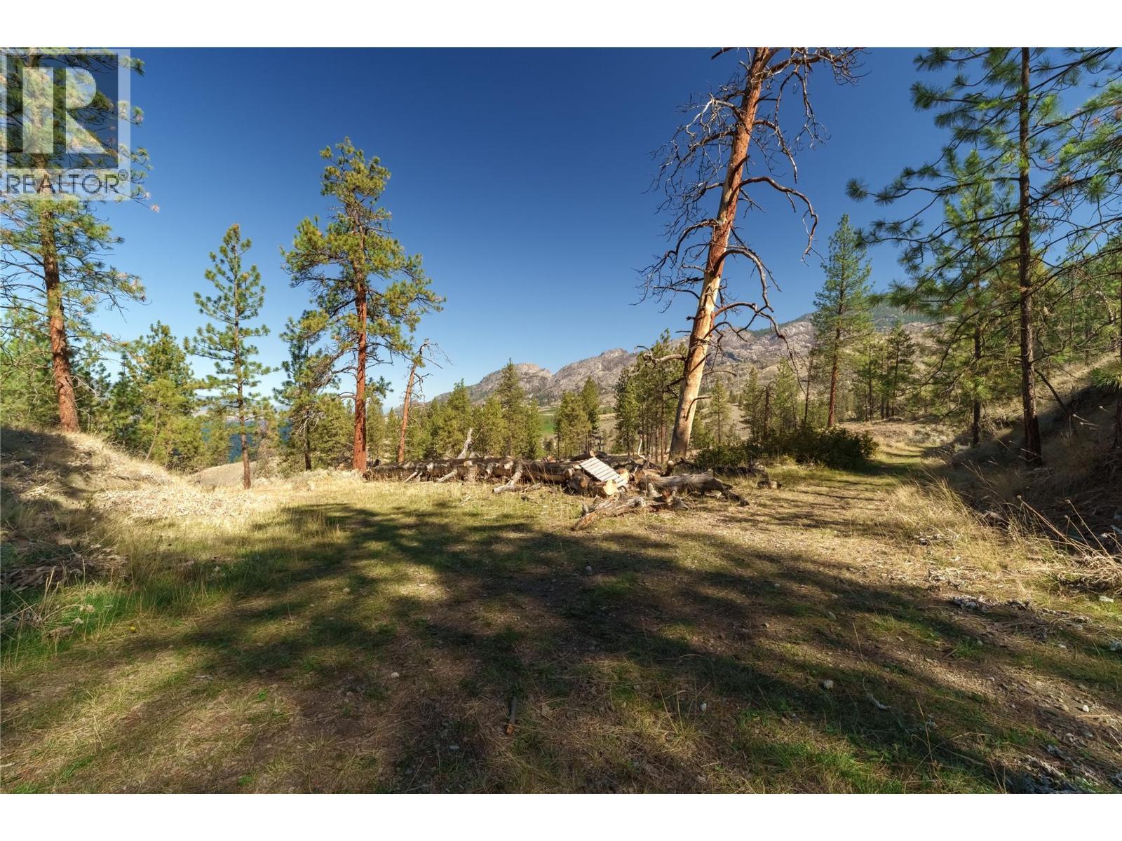 Prpsd Lt 1 47 Street, Okanagan Falls, BC