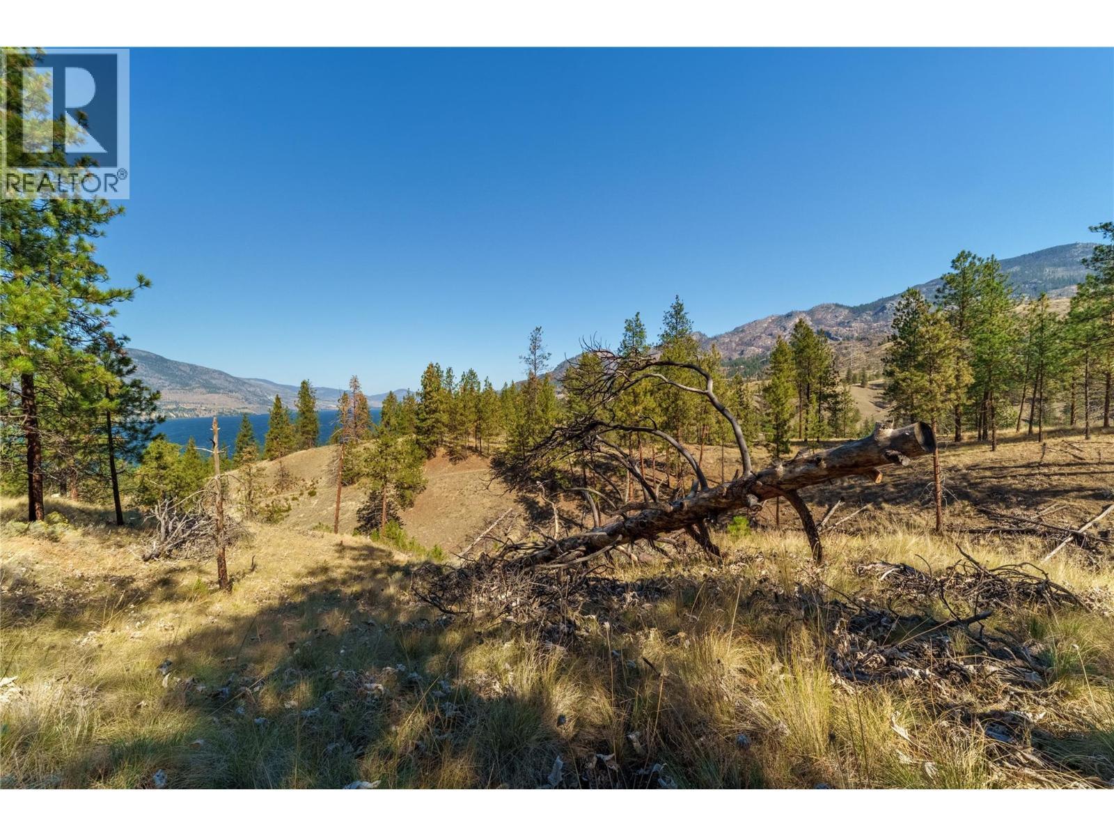 Prpsd Lt 1 47 Street, Okanagan Falls, BC