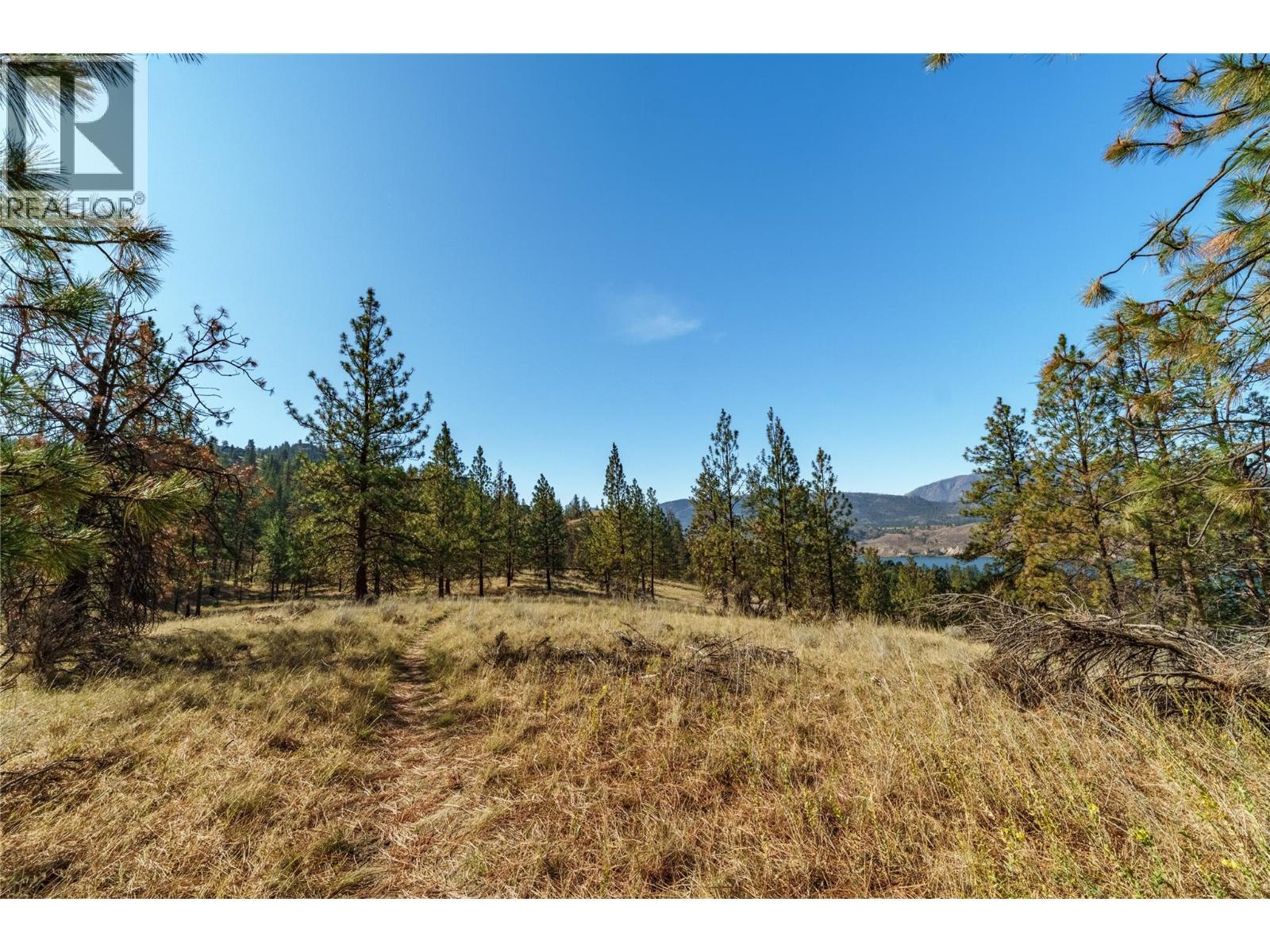 Prpsd Lt 1 47 Street, Okanagan Falls, BC