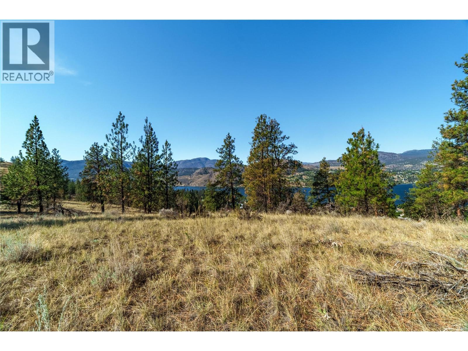 Prpsd Lt 1 47 Street, Okanagan Falls, BC