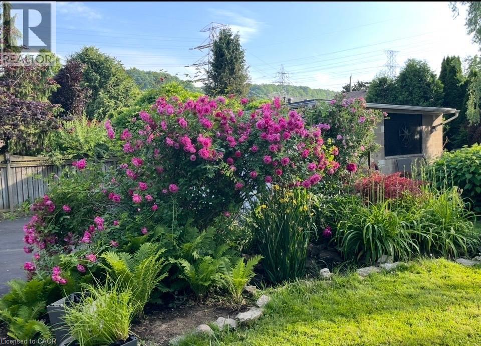 Landscaped garden featuring mature flowering shrubs, diverse plantings, and manicured lawn - 154 Ewen Road, Hamilton, ON