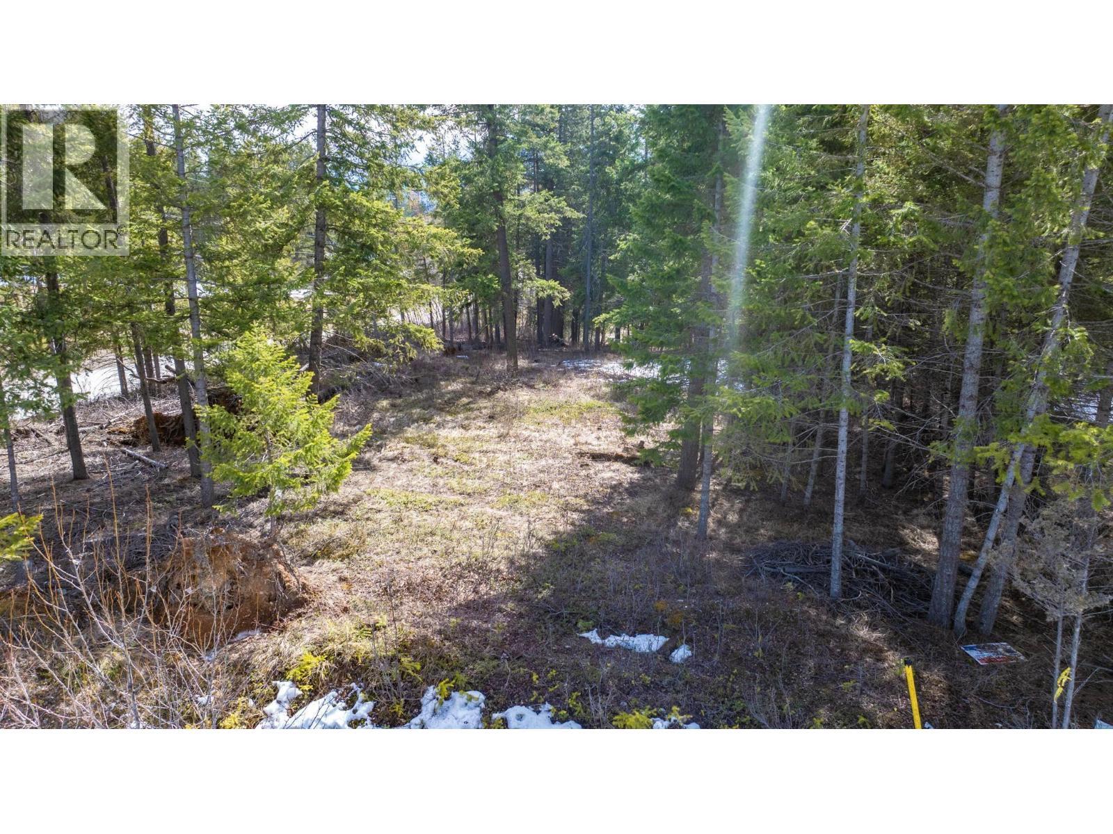 1400 Pine Drive, Golden, BC