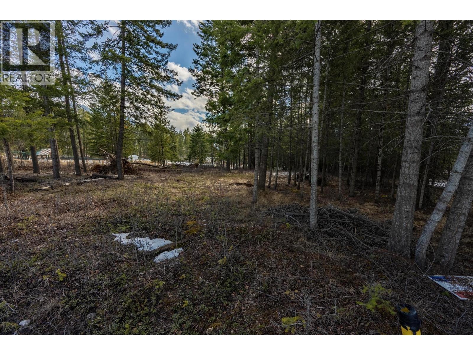 1400 Pine Drive, Golden, BC