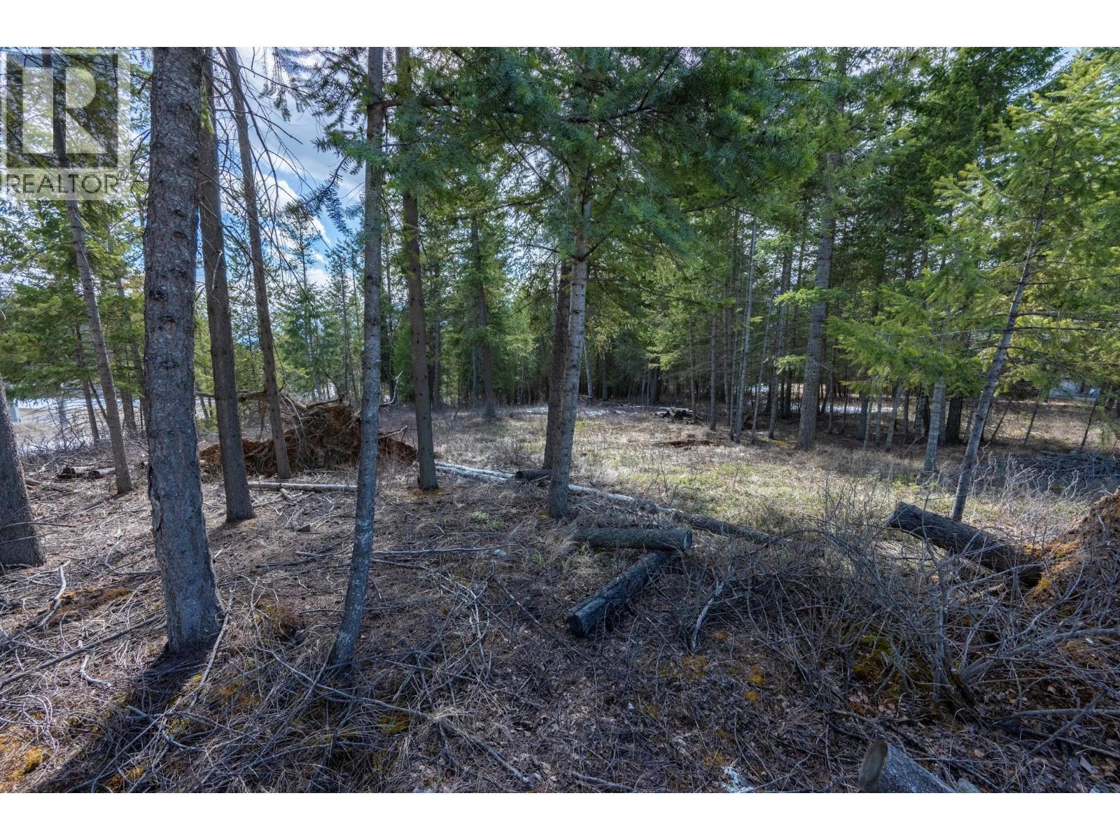 1400 Pine Drive, Golden, BC
