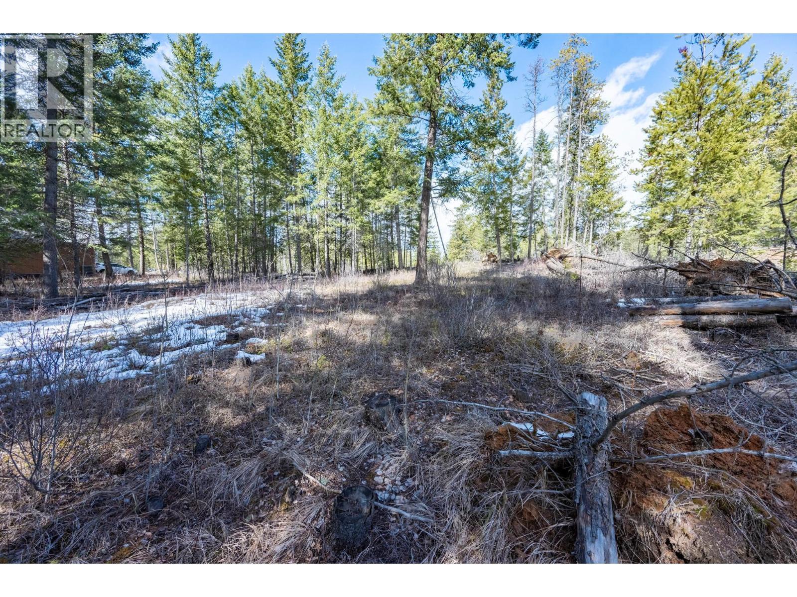 1400 Pine Drive, Golden, BC