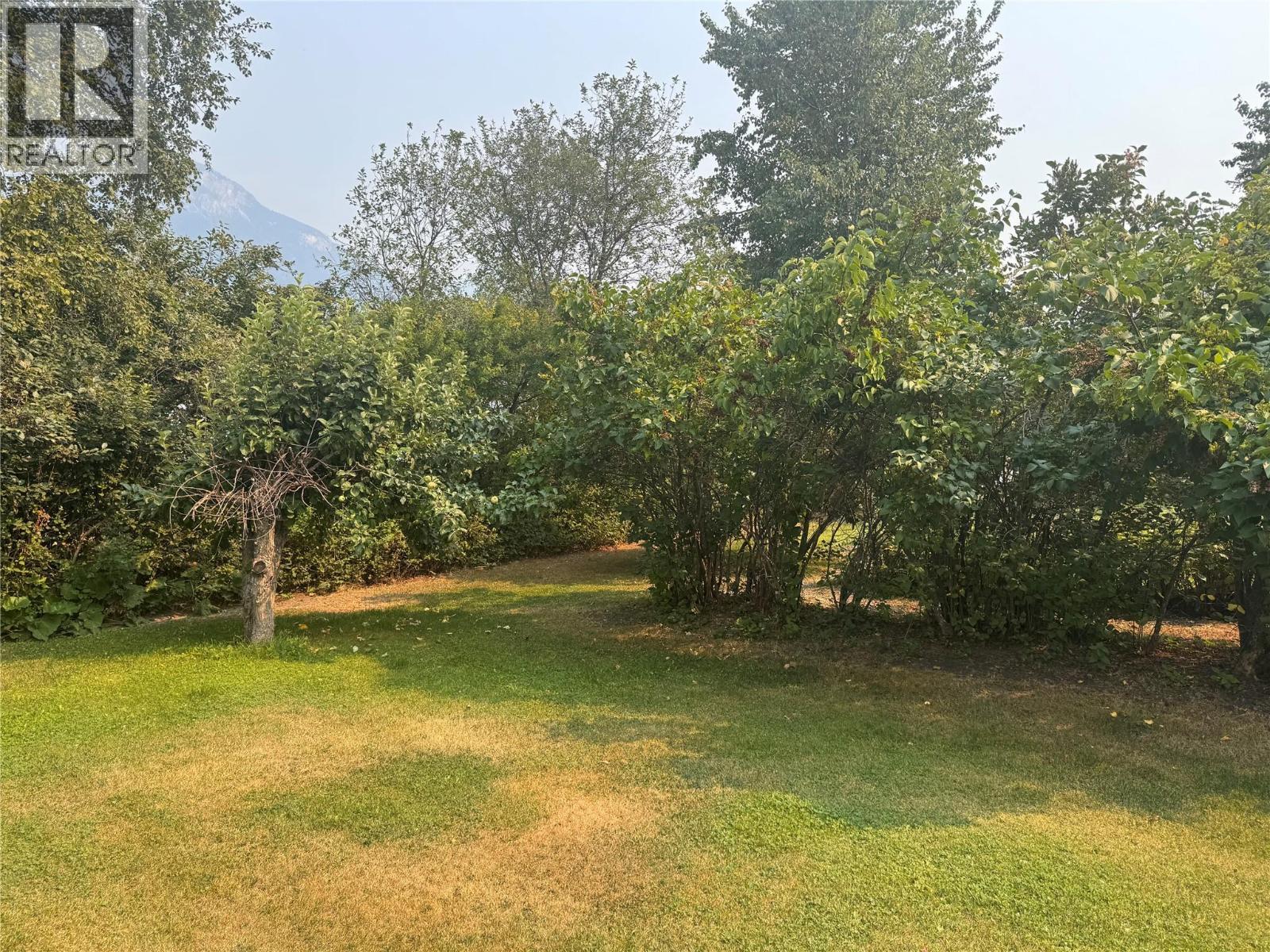 Back yard - 903 Ryter Road W, Nicholson, BC