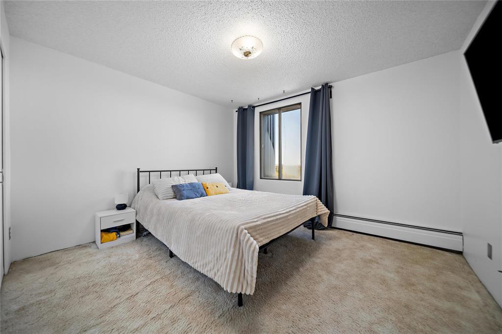 803 175 Pulberry Street, Winnipeg, MB