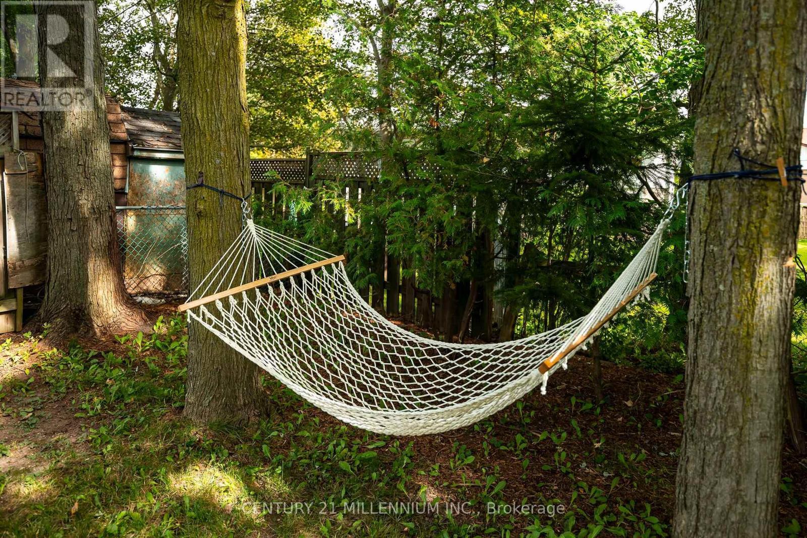 Hammock in the trees - 139 Town Line, Orangeville, ON