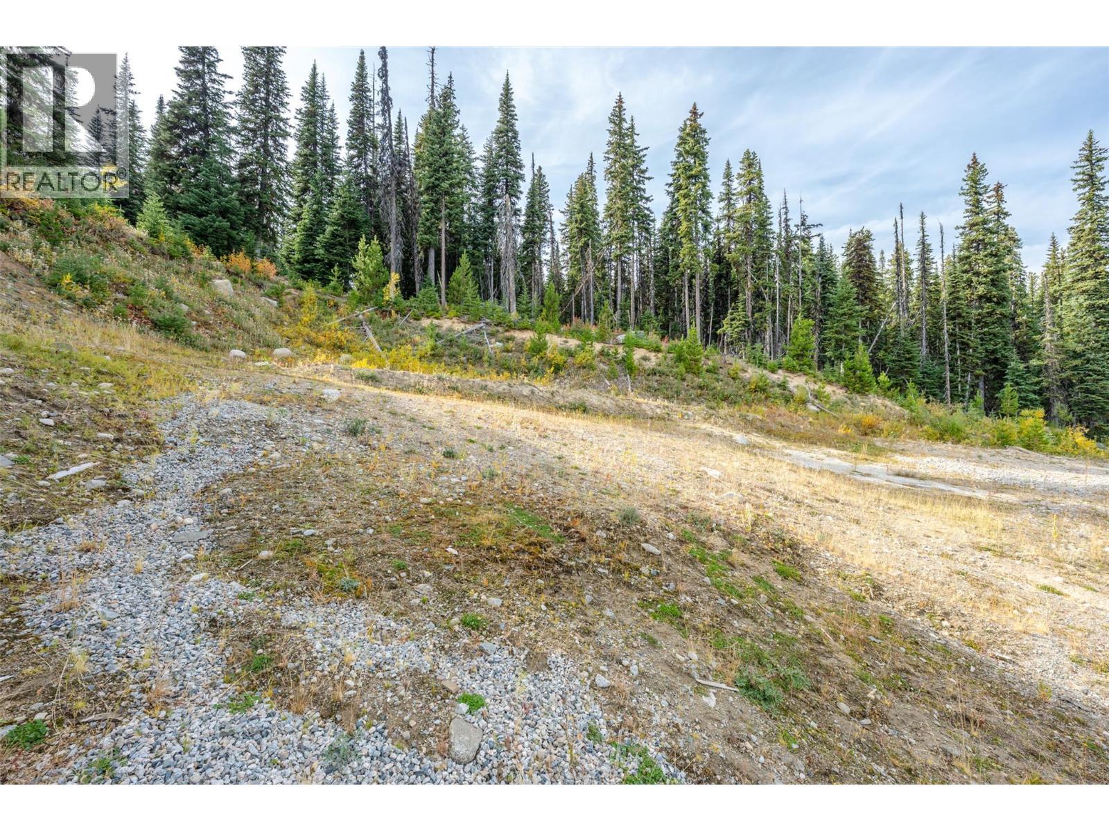 185 Snow Mountain Place, Apex Mountain, BC