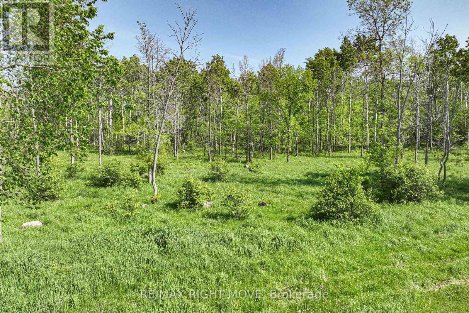 1579 Wainman Line, Severn, ON