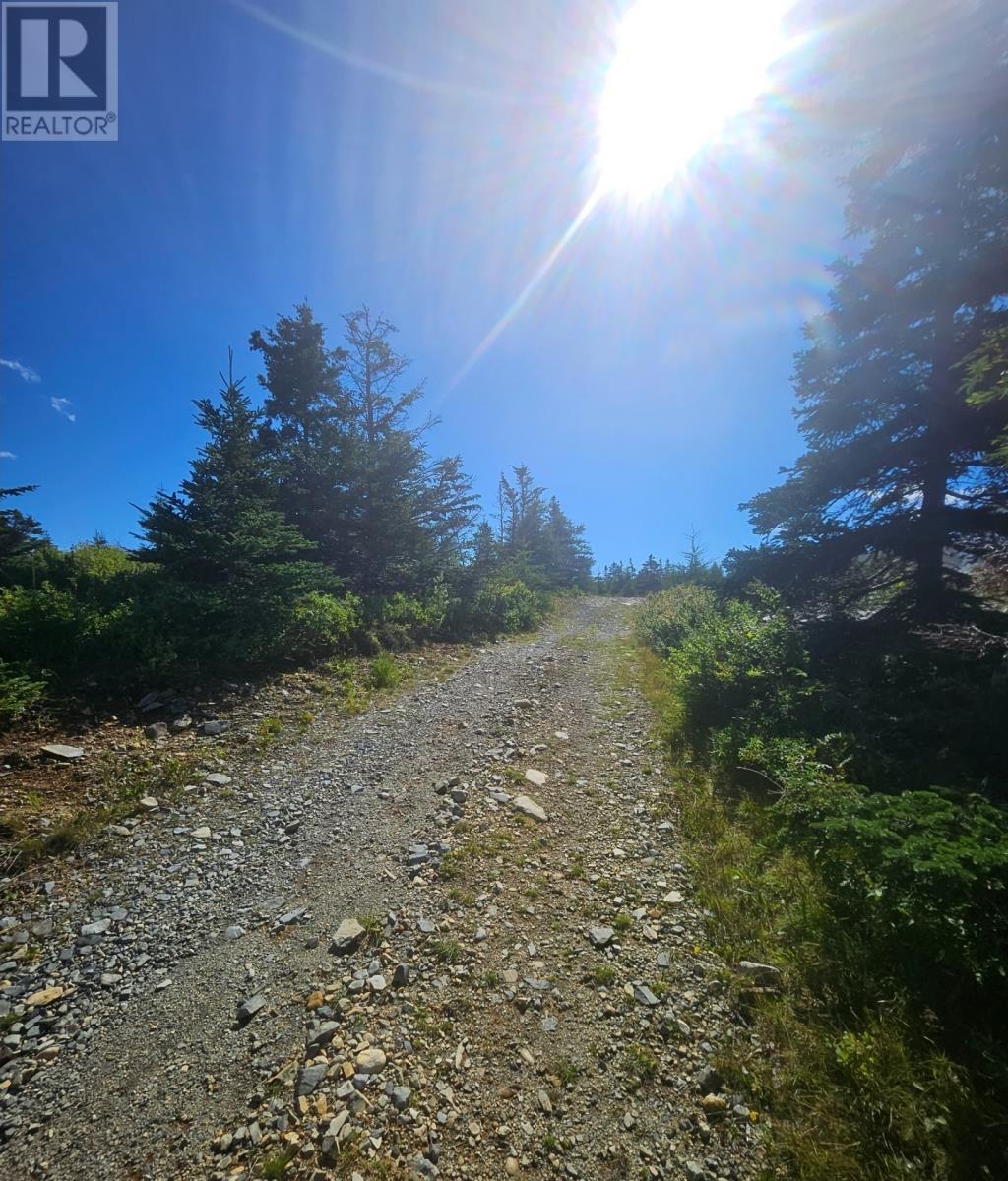 95A Chipmans Road, Spaniards Bay, NL