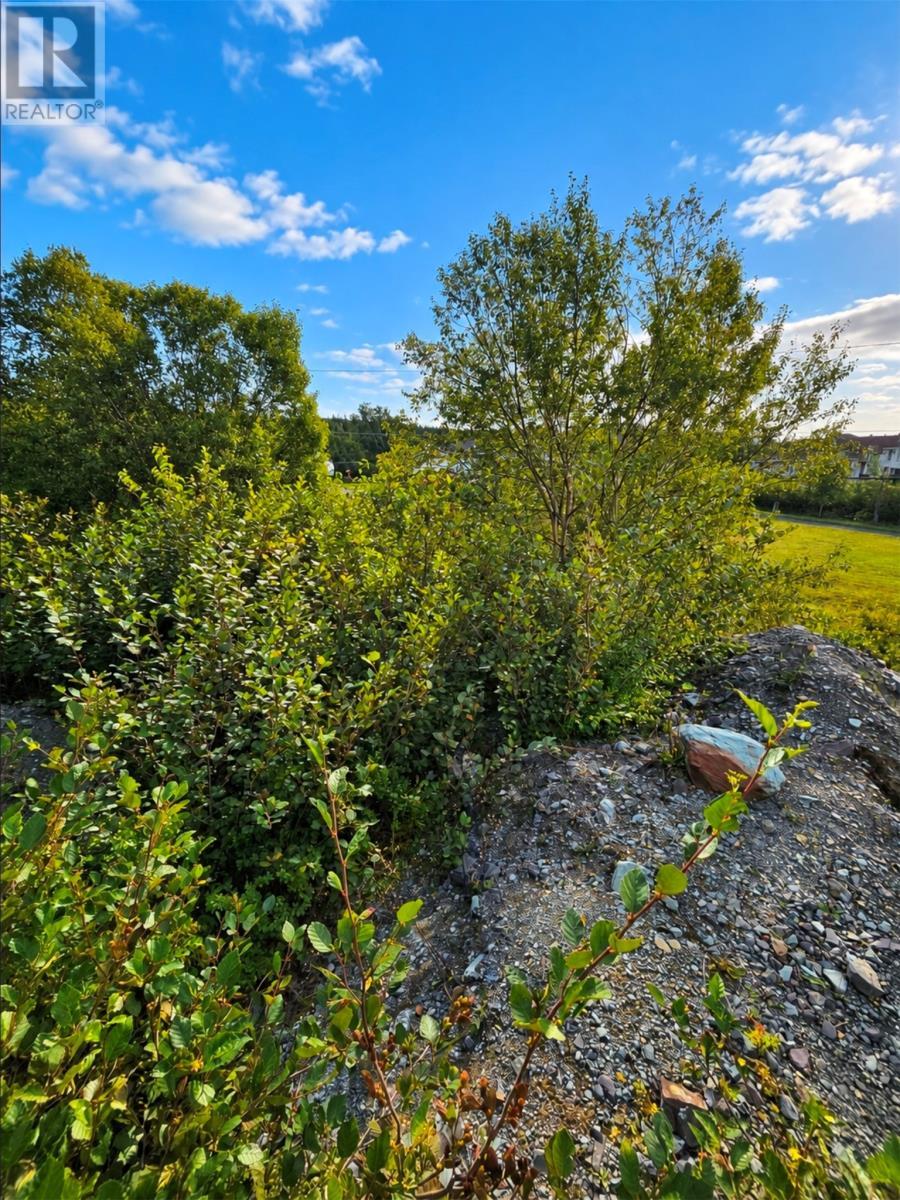 25 Newfound Lane, Bay Roberts, NL