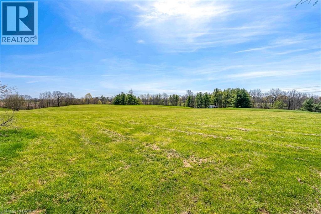Expansive open field with green grass, bordered by mature trees and a distant treeline - 47 River Road, Brantford, ON