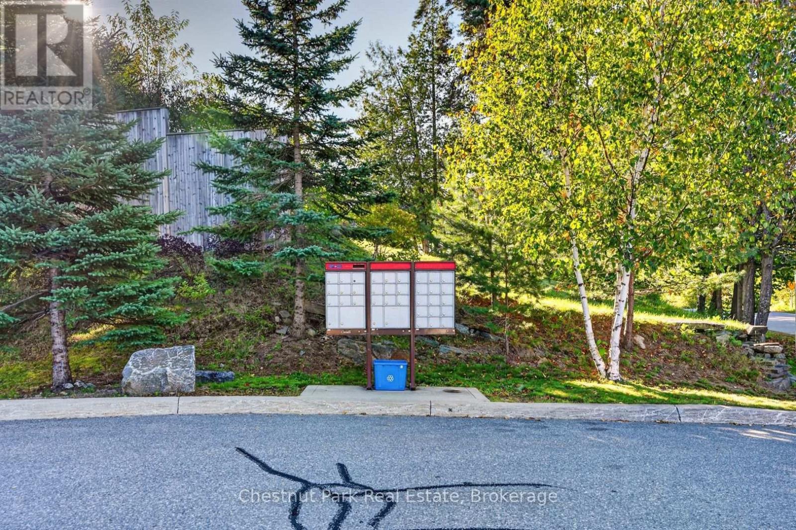 Recycling and compost pick up - 1 - 37 Silver Street, Huntsville, ON