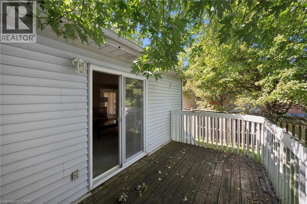 Outdoor wooden deck with white railing, light-colored siding, and sliding glass doors - 512 Thorndale Drive, Waterloo, ON