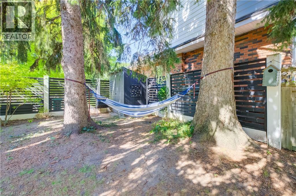 Mature trees providing natural shade - 59 Allen Street W, Waterloo, ON