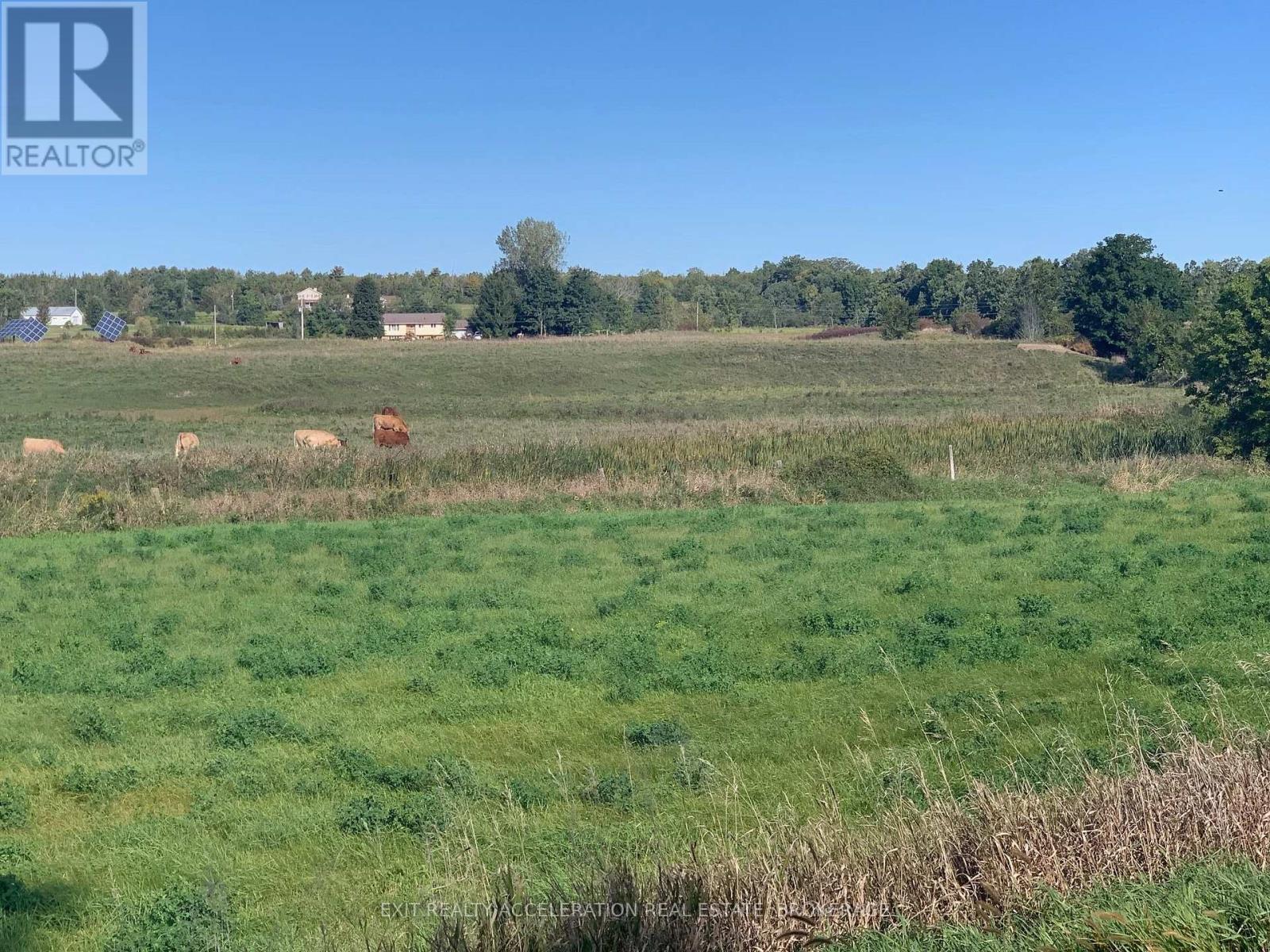 Pt Lt 19 Con 4 County Rd 8, Greater Napanee (Greater Napanee), ON
