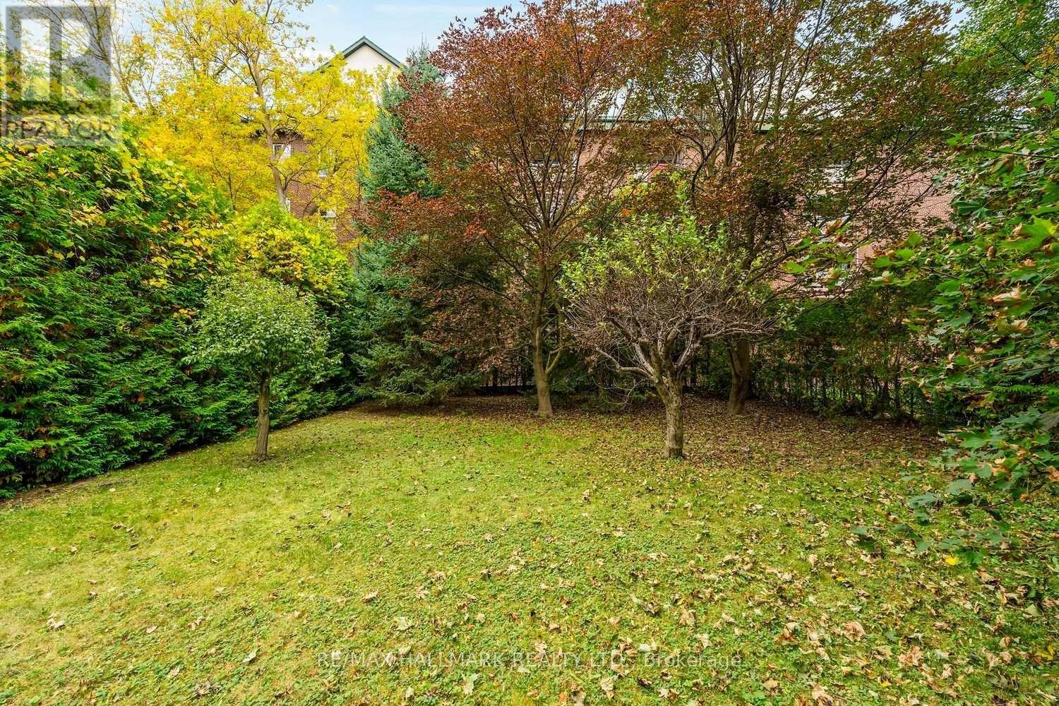 245 Elmwood Avenue, Richmond Hill, ON