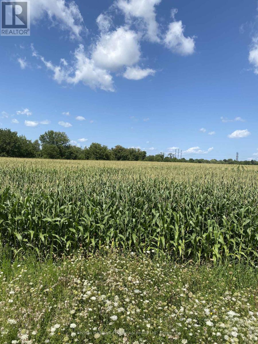 800 Conlin Road, Whitby, ON