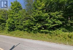 LOT 7 CONCESSION ROAD W Trent Hills, ON K0K 3K0
