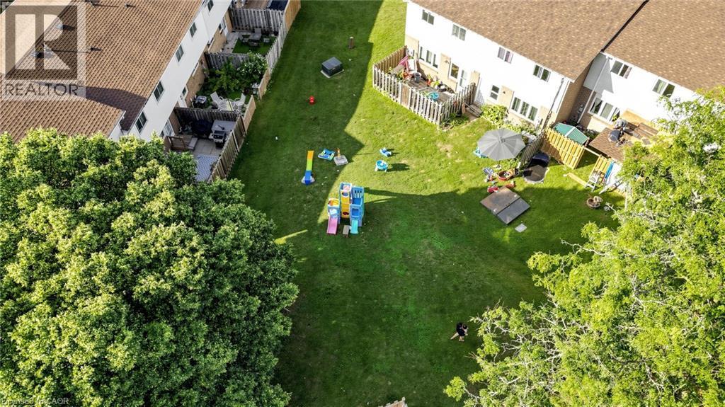 Expansive green space featuring large mature trees and a manicured lawn - 304 Bluevale Street N, Waterloo, ON - Outdoor