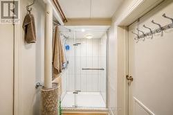 Basement Bathroom - 