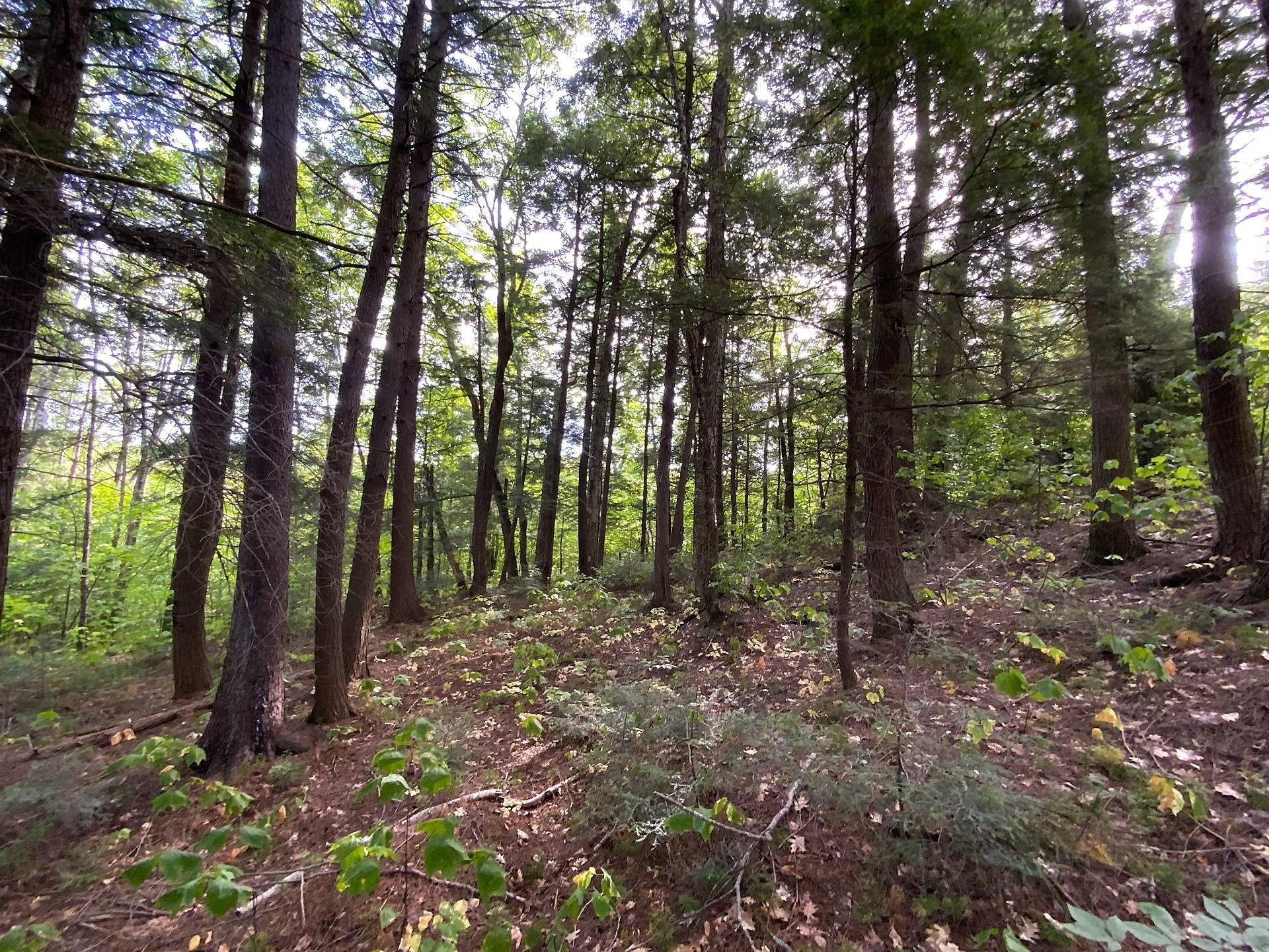 Terre/Terrain - 131 Mtée Rochon, Ripon, QC