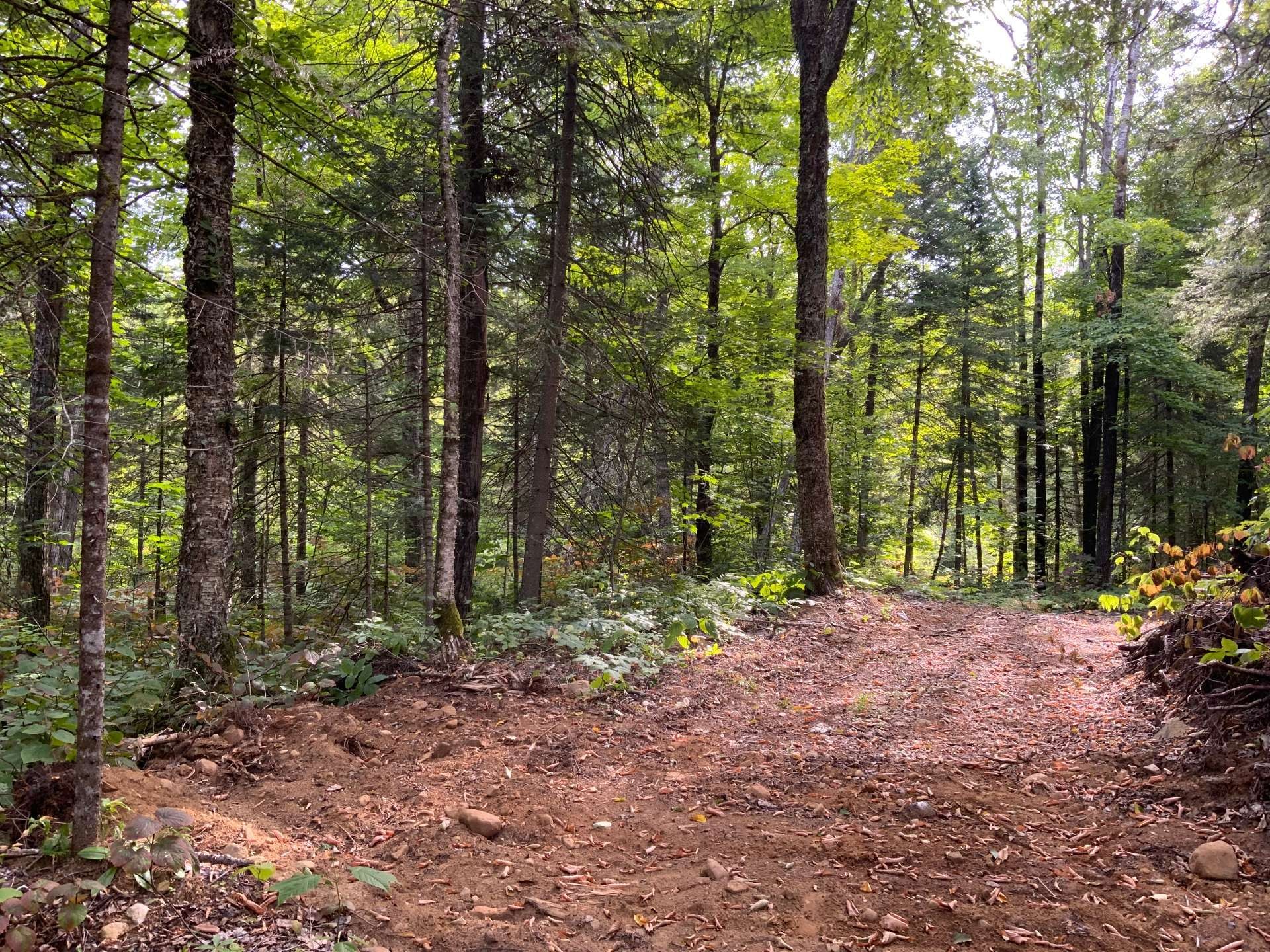 Terre/Terrain - 131 Mtée Rochon, Ripon, QC