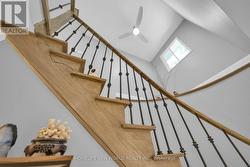 High Ceiling - 